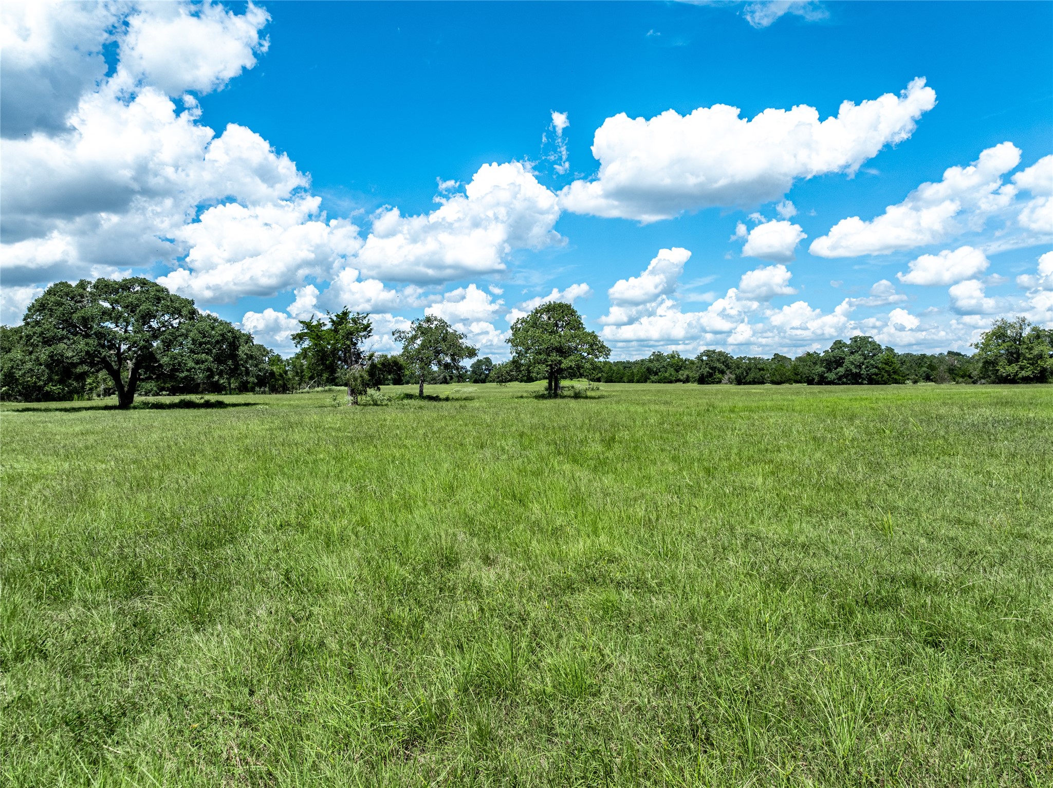 0000 State Highway 71 W Property Photo 14