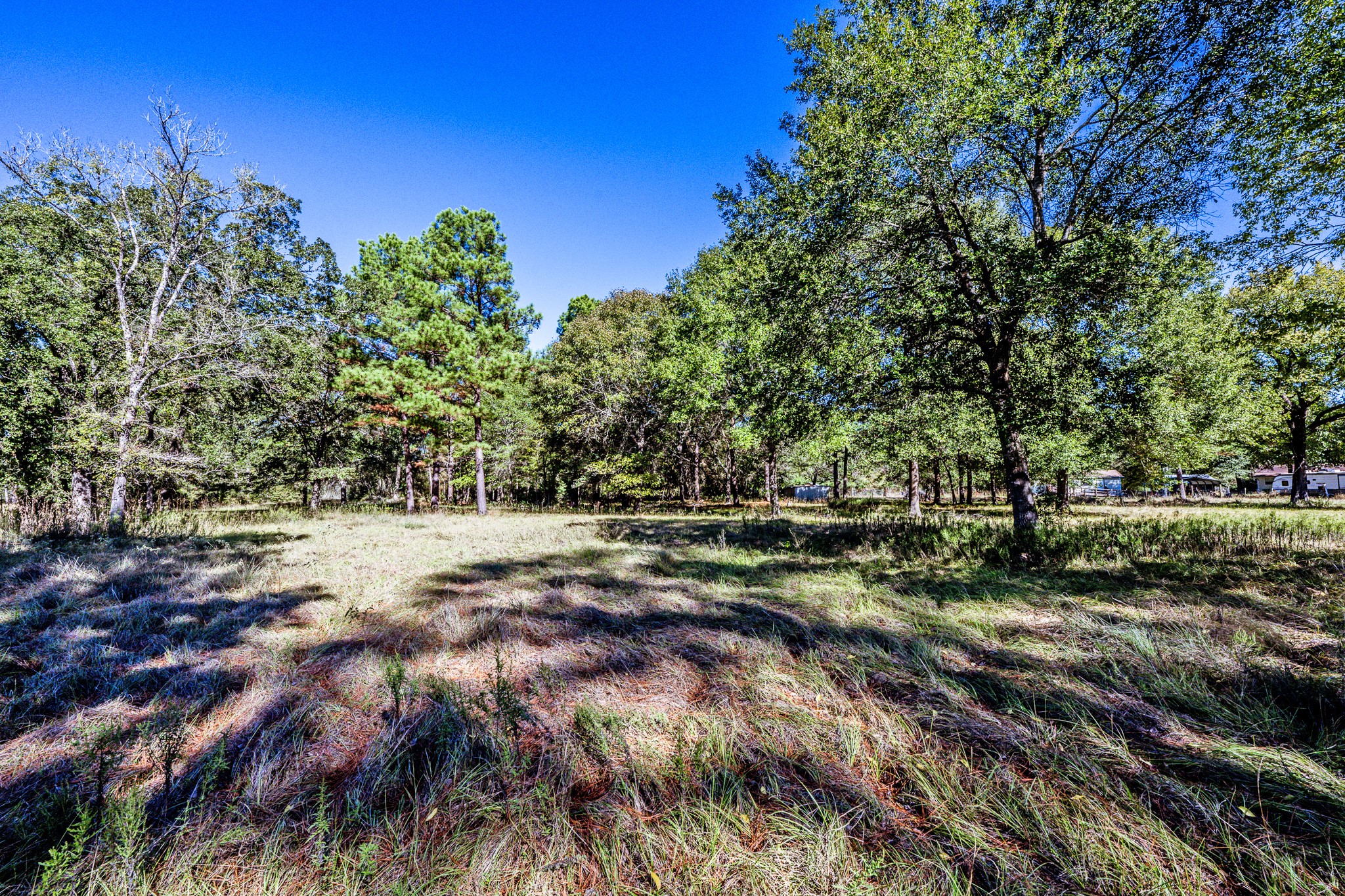 3268 Tx-75 N Property Photo 5