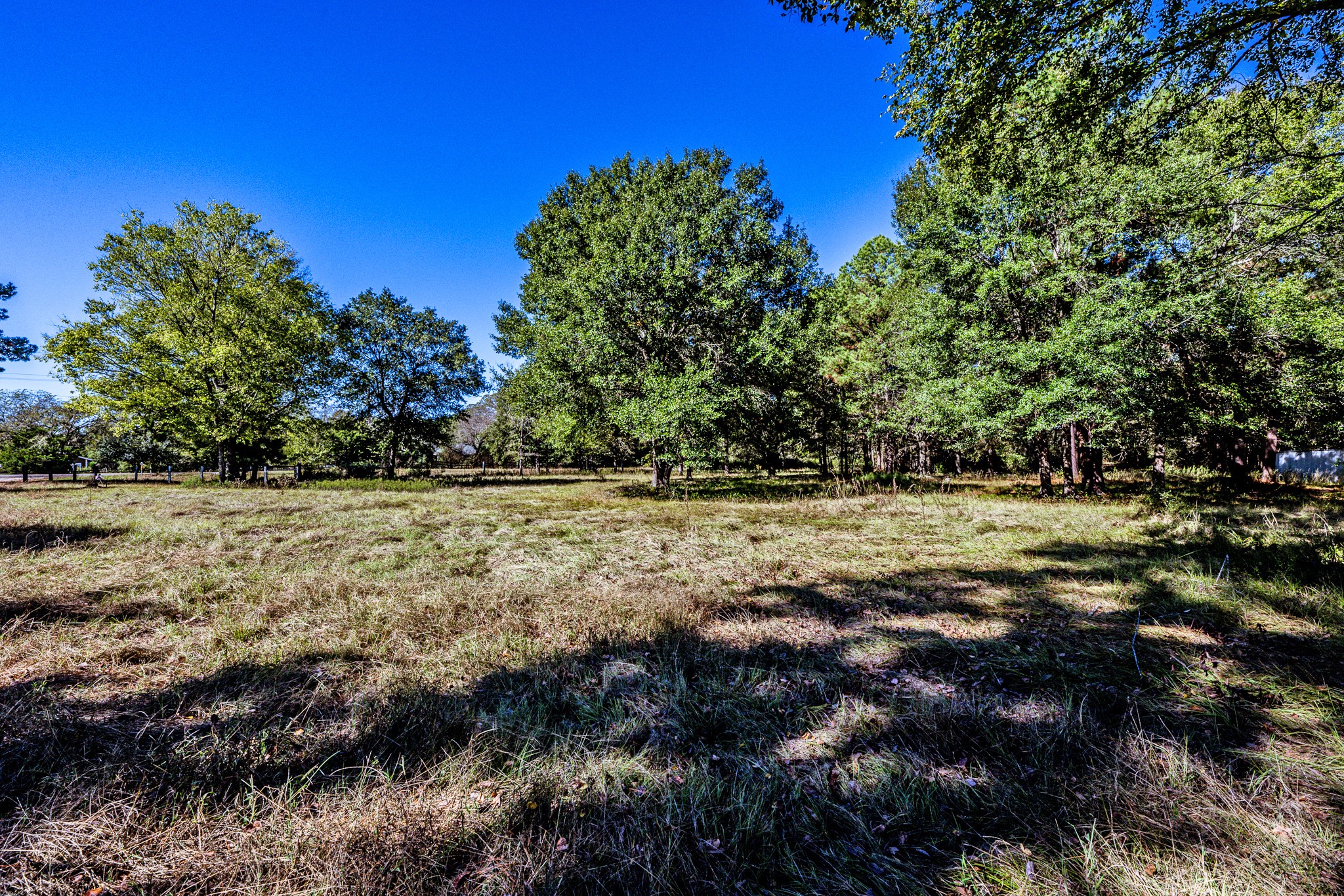 3268 Tx-75 N Property Photo 6