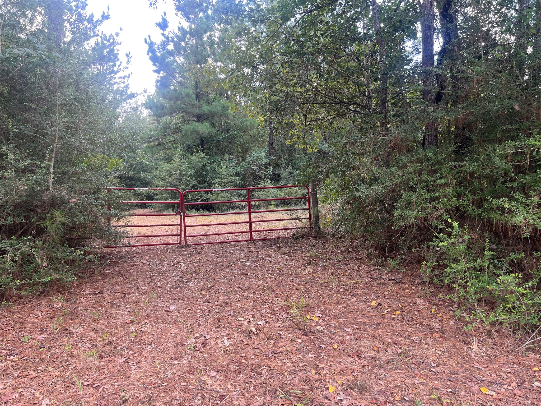 7926 E Fm 942 Property Photo 1