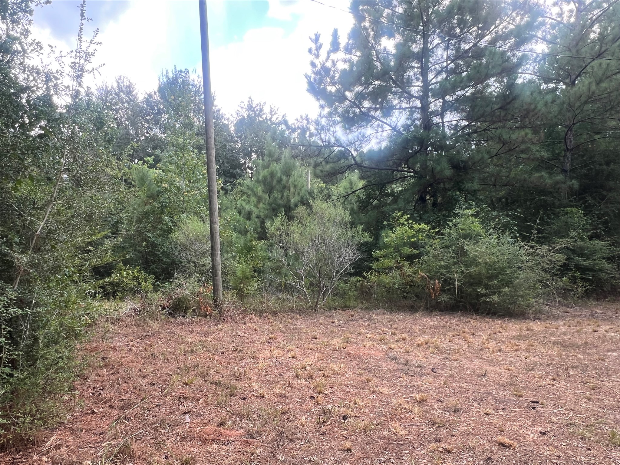 7926 E Fm 942 Property Photo 3