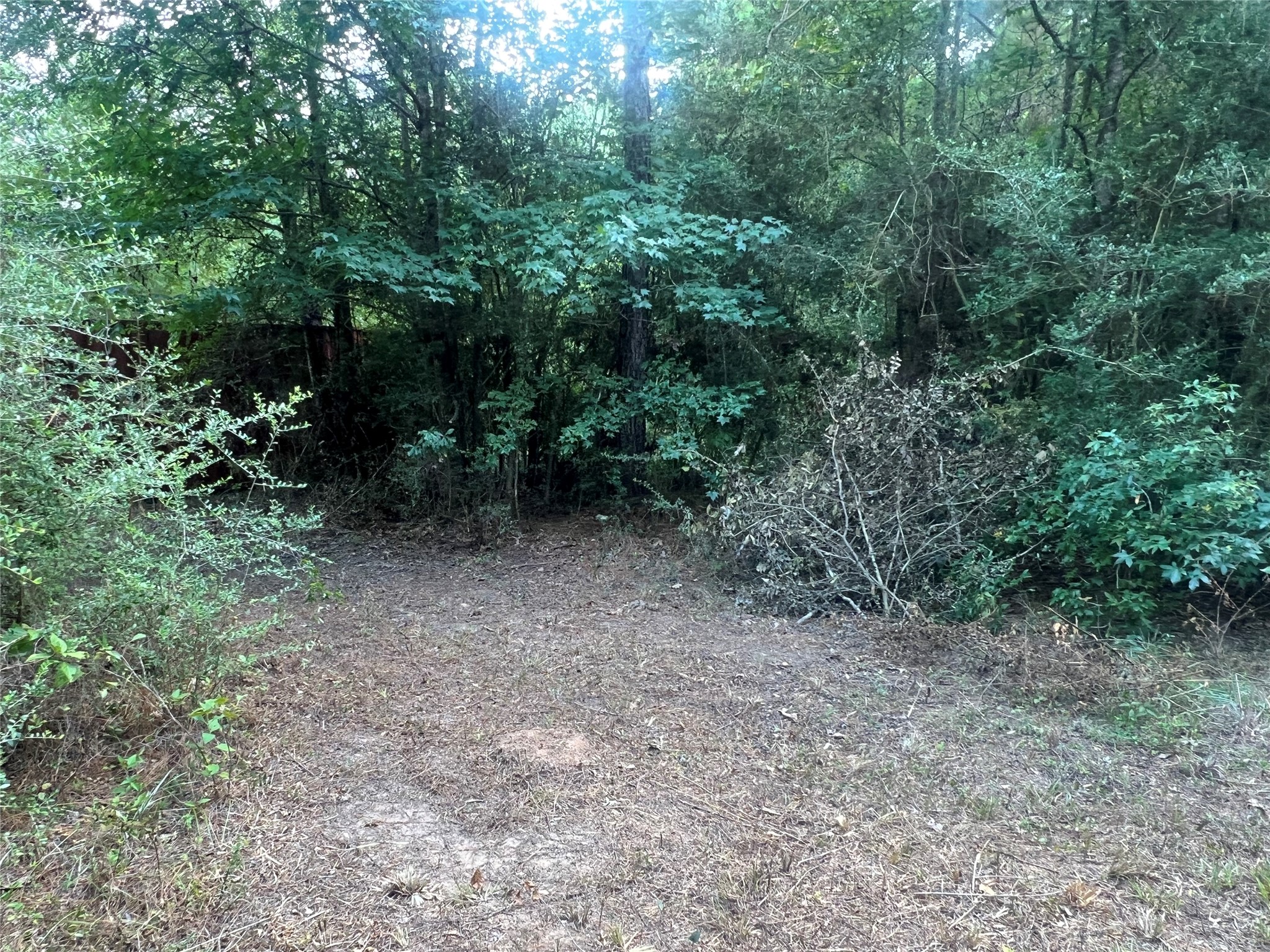 7926 E Fm 942 Property Photo 6