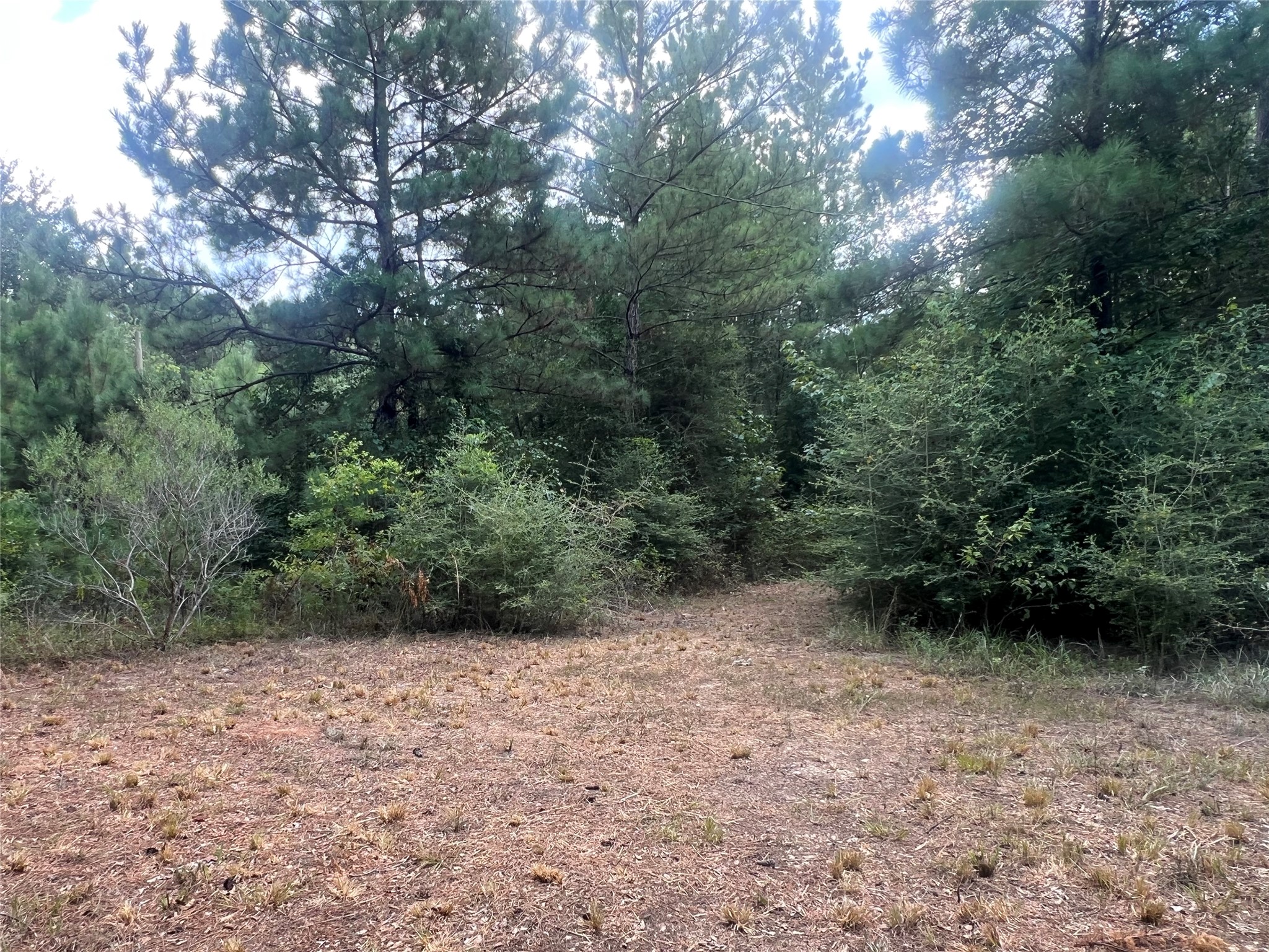 7926 E Fm 942 Property Photo 8