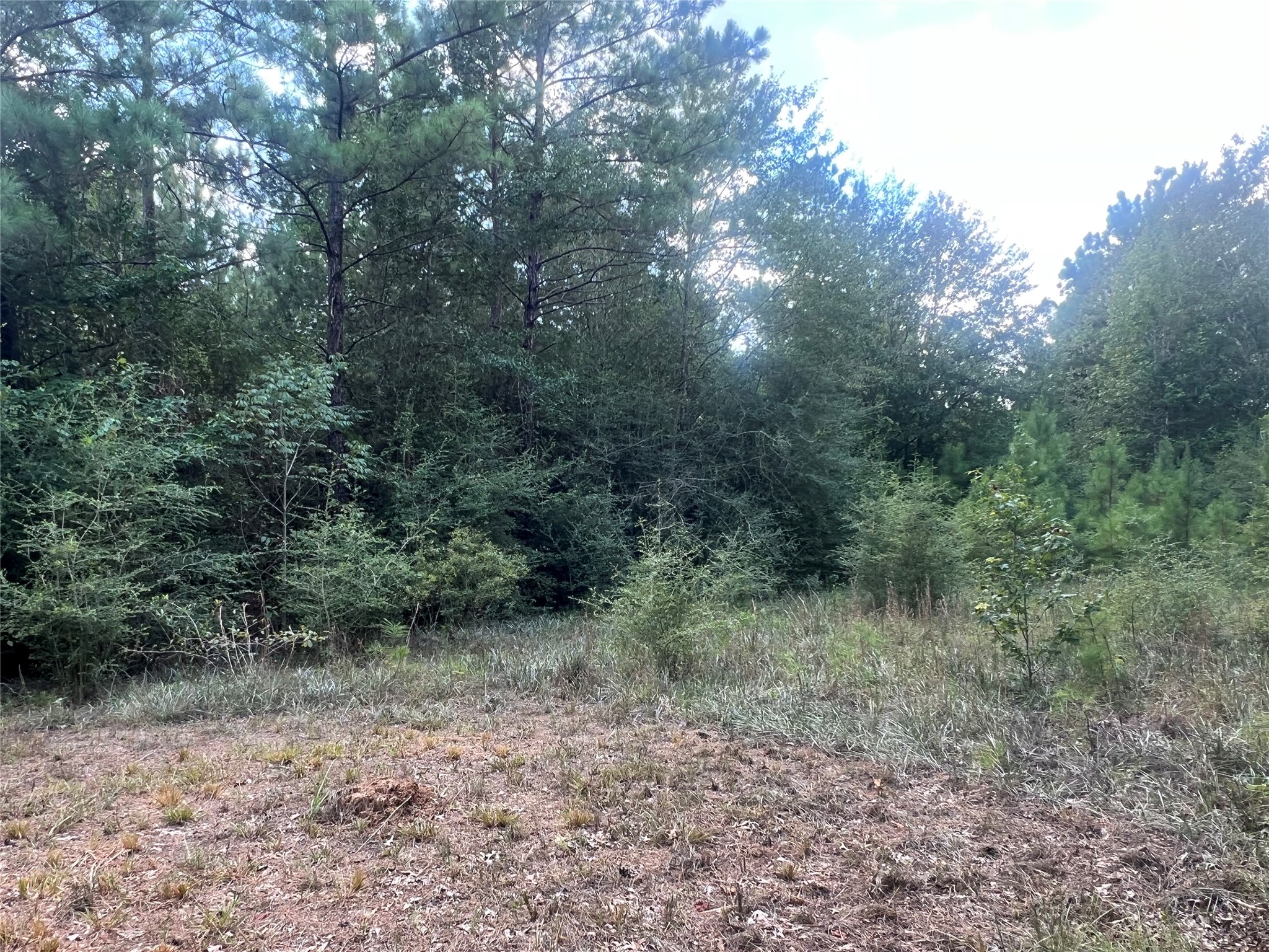 7926 E Fm 942 Property Photo 9