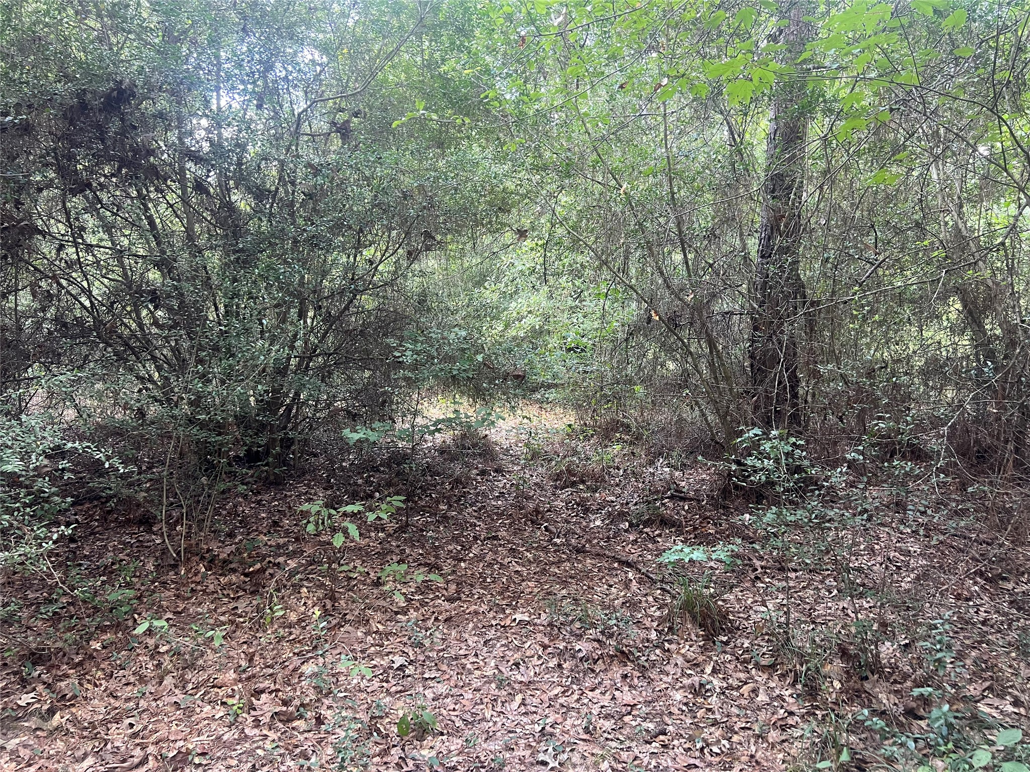7926 E Fm 942 Property Photo 13
