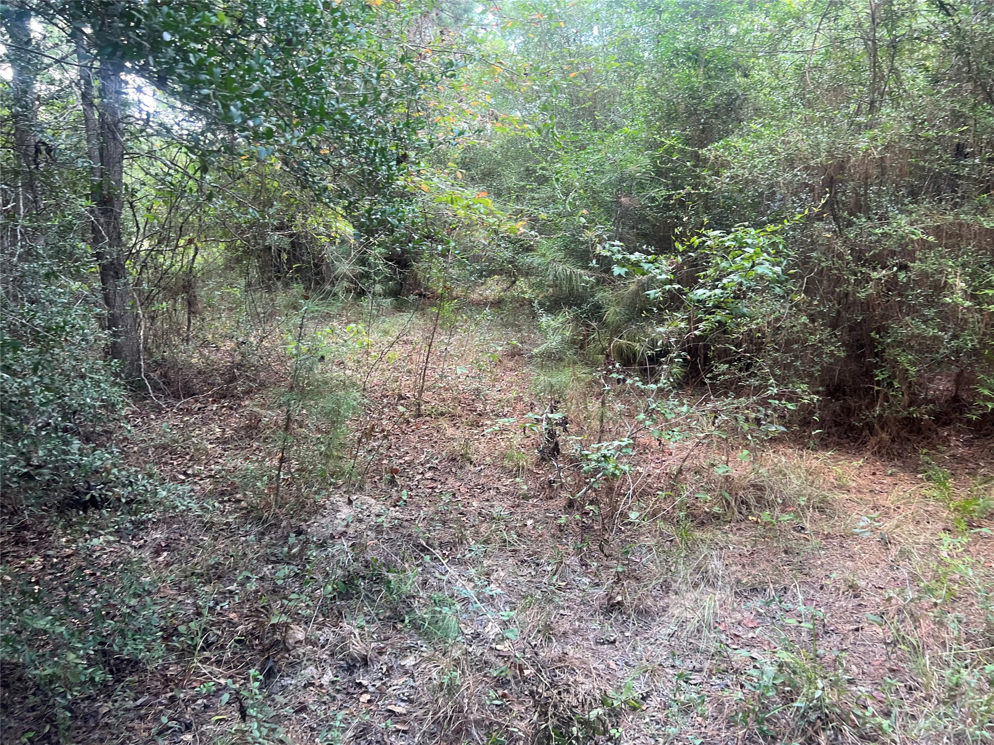 7926 E Fm 942 Property Photo 14