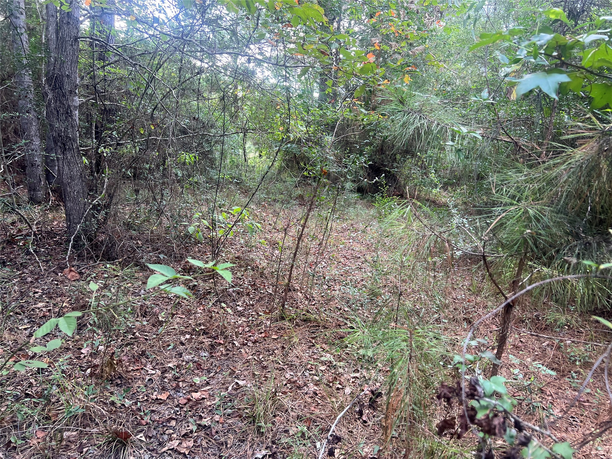 7926 E Fm 942 Property Photo 15