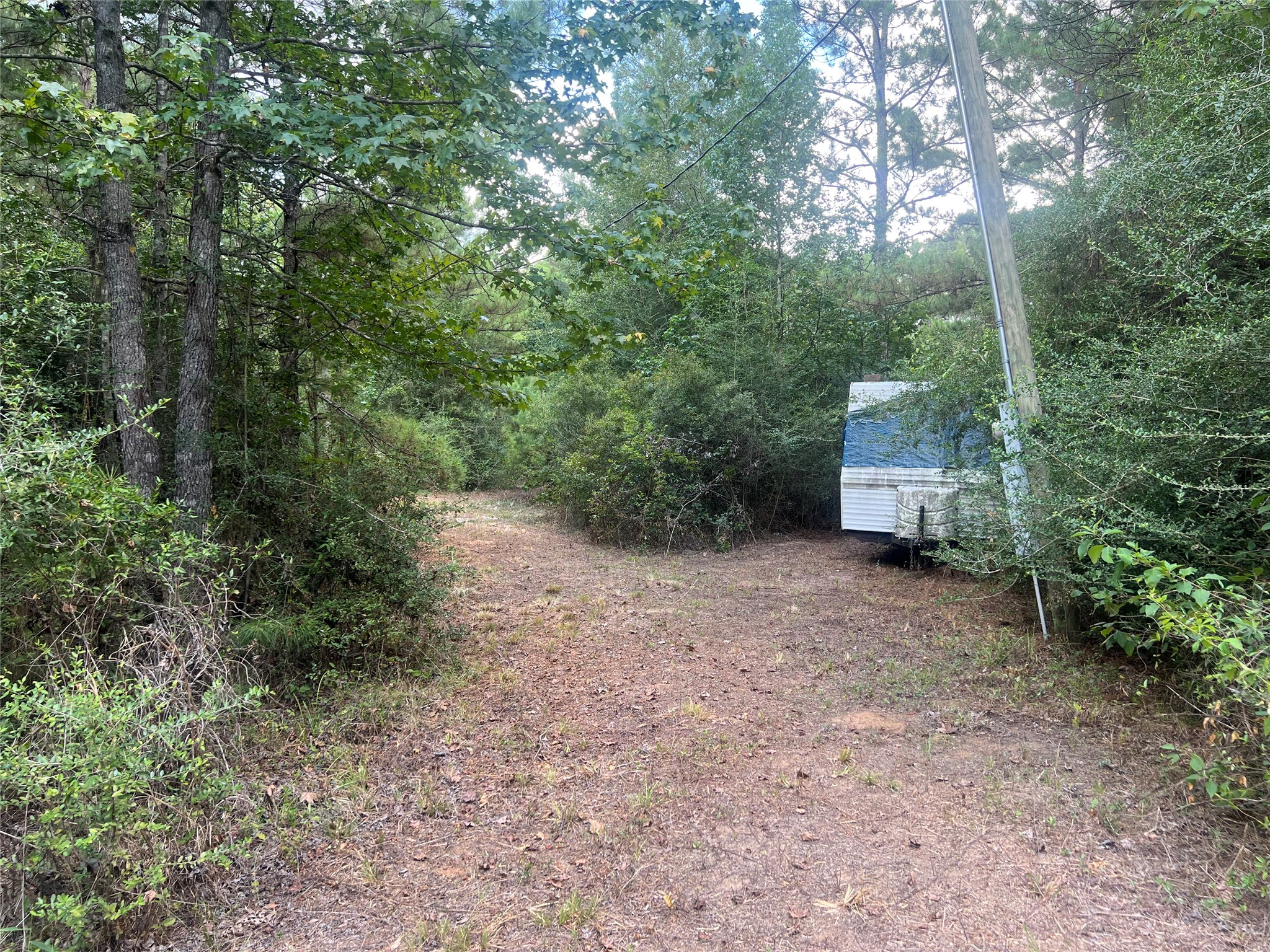 7926 E Fm 942 Property Photo 17