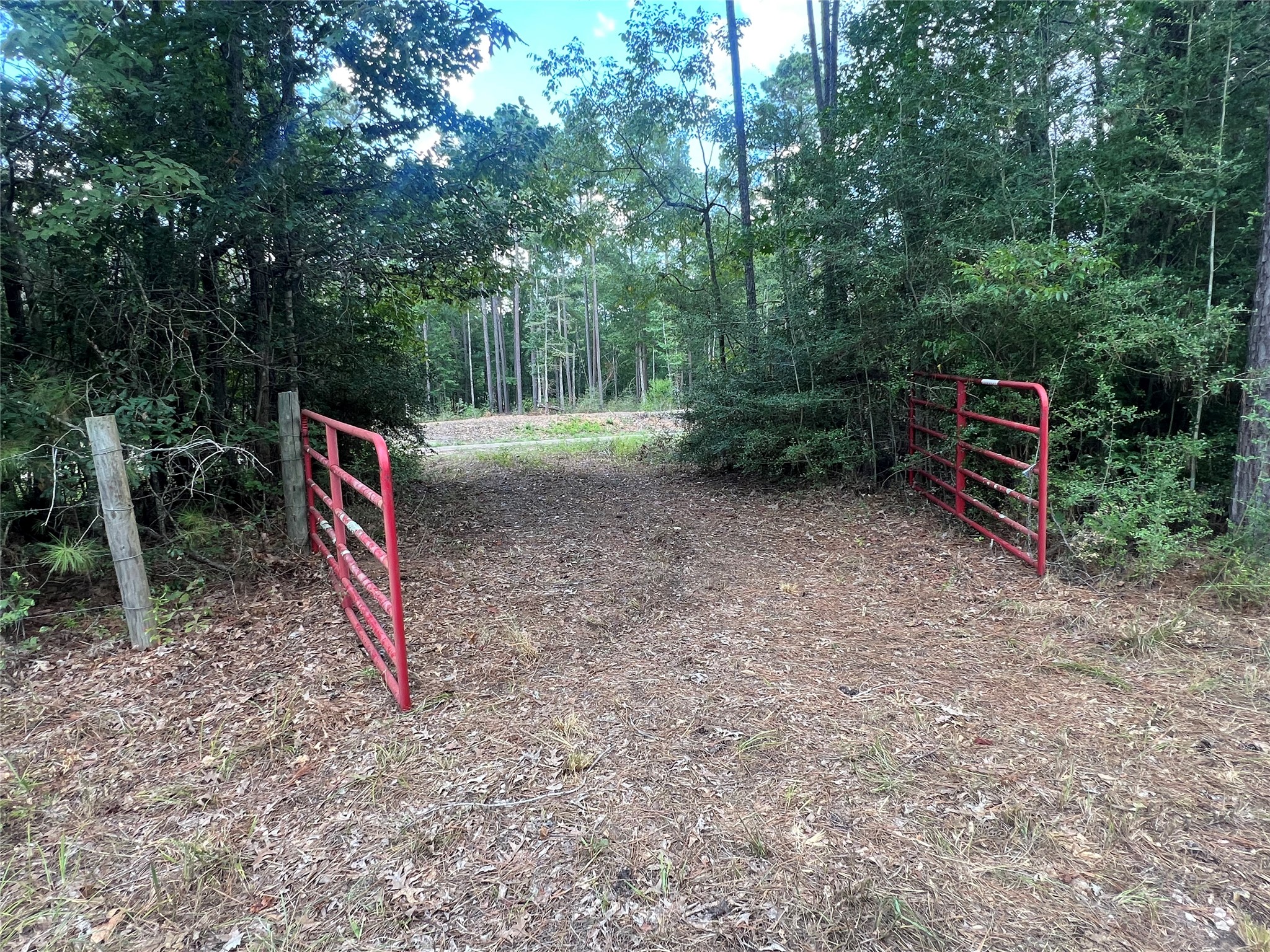 7926 E Fm 942 Property Photo 19