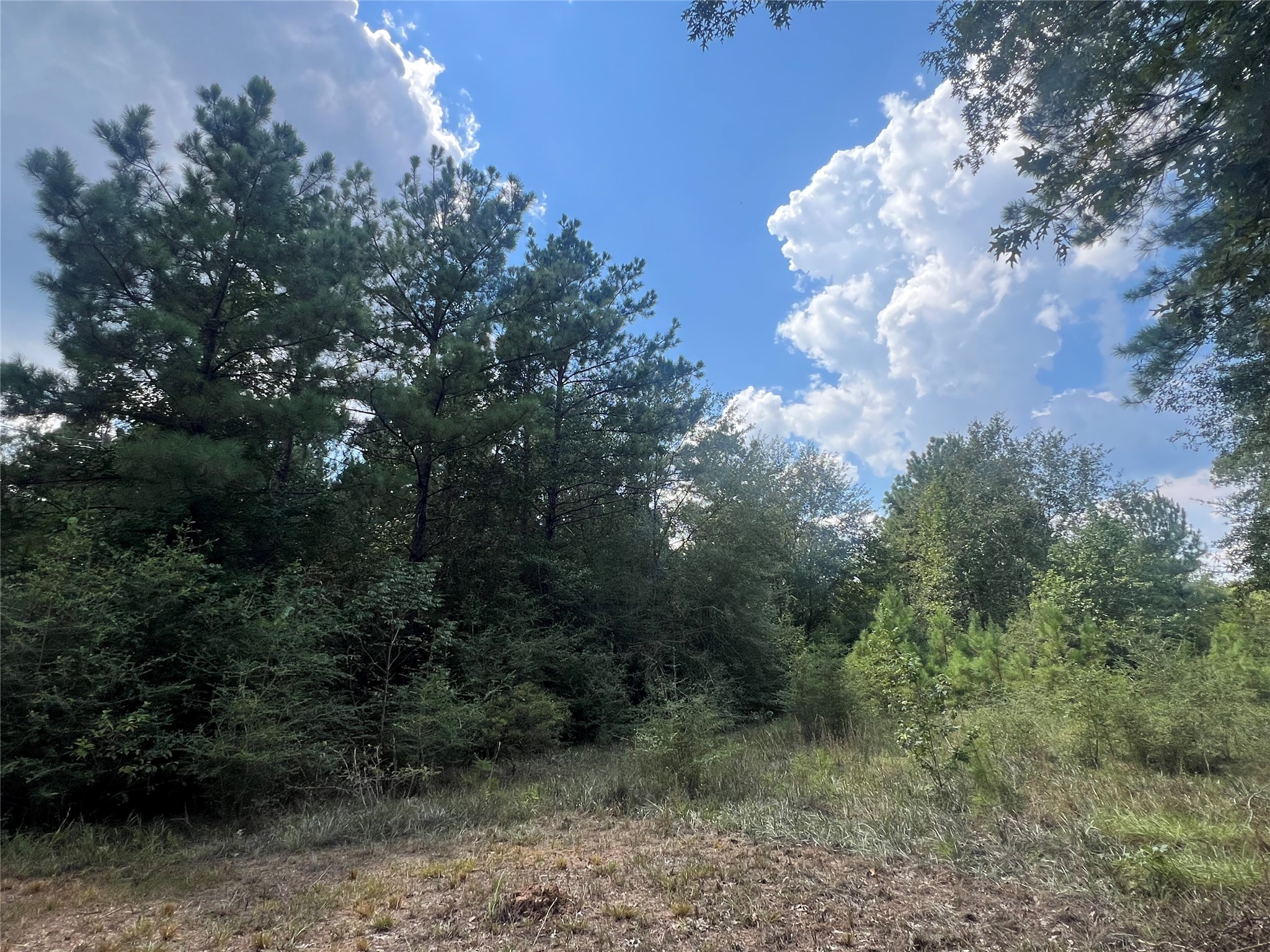 7926 E Fm 942 Property Photo 22