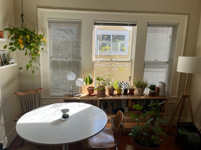 303 Northwood Street Property Photo 4