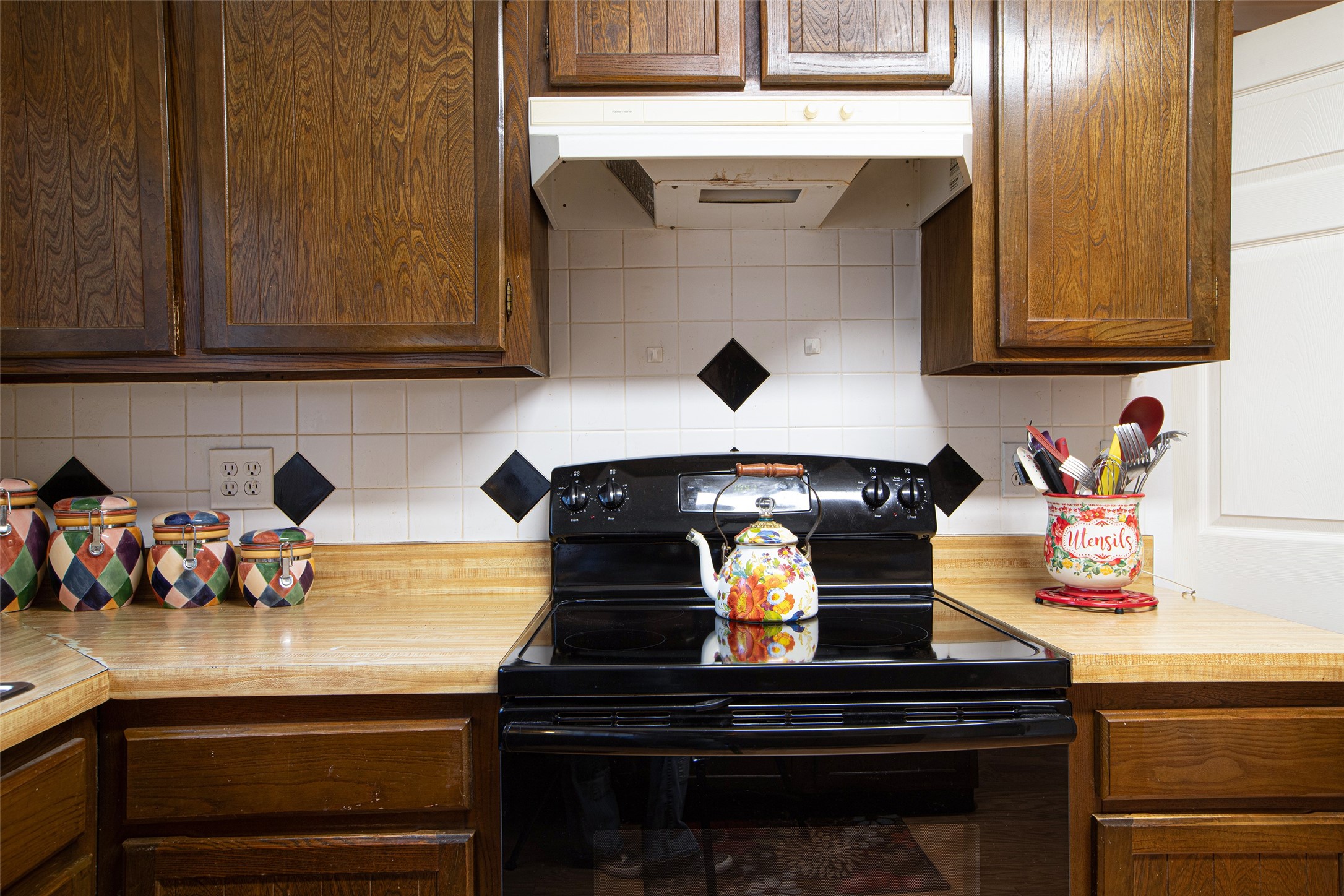 11816 S Red Cedar Circle Property Photo 9