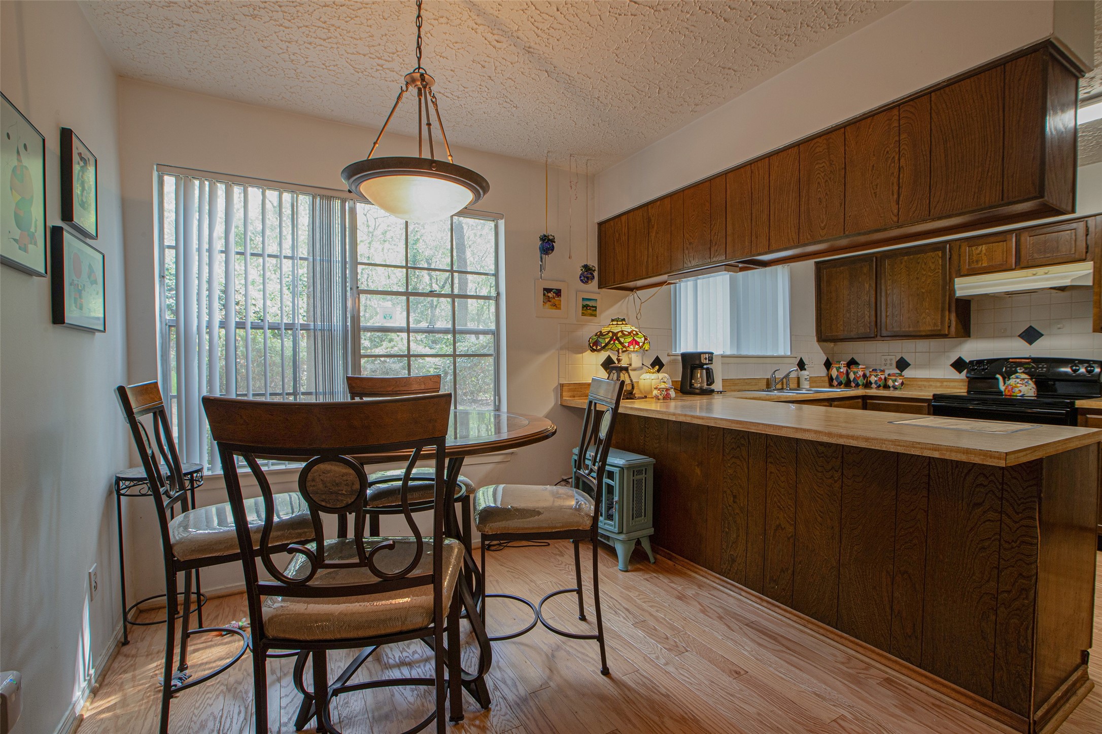 11816 S Red Cedar Circle Property Photo 10