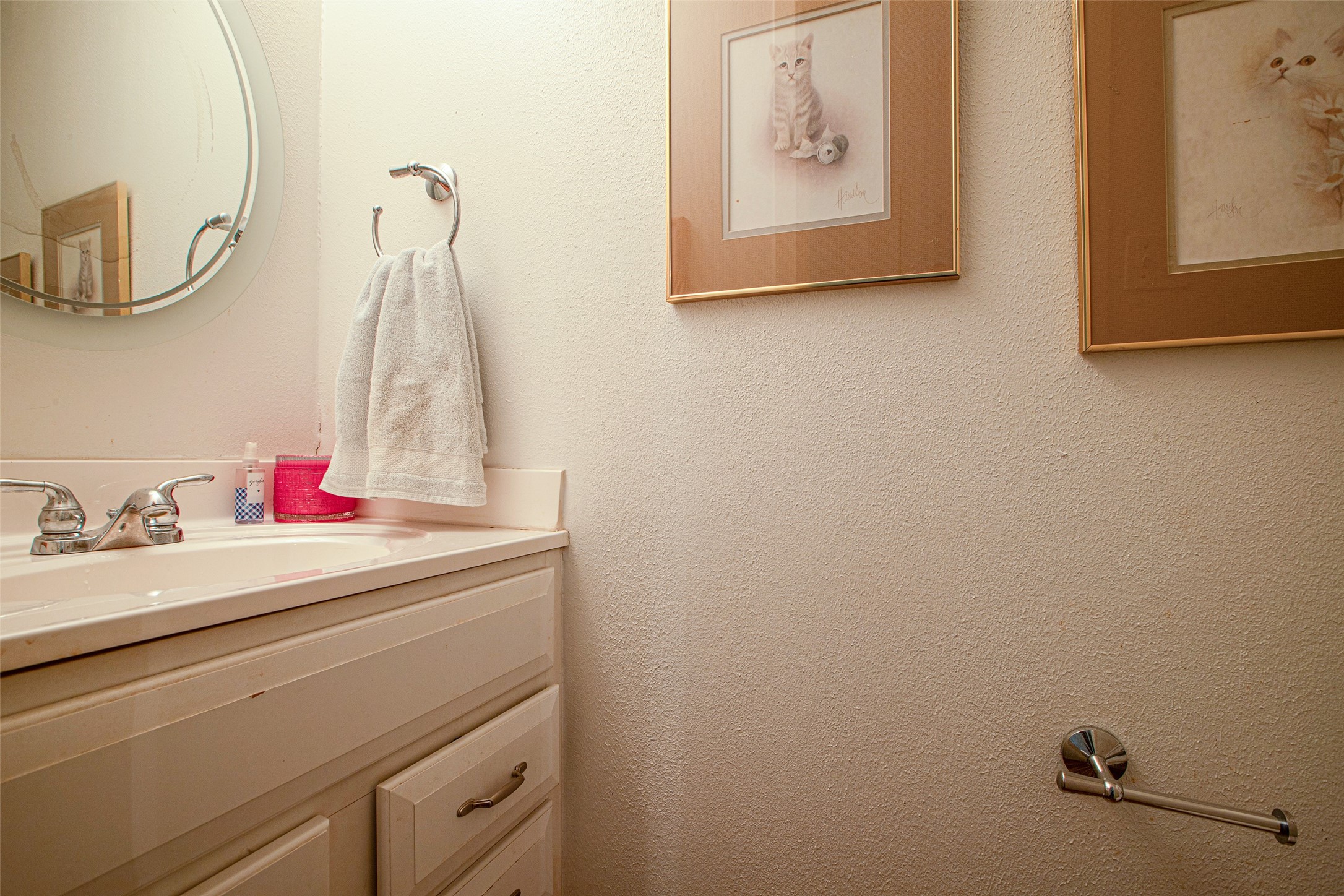 11816 S Red Cedar Circle Property Photo 11