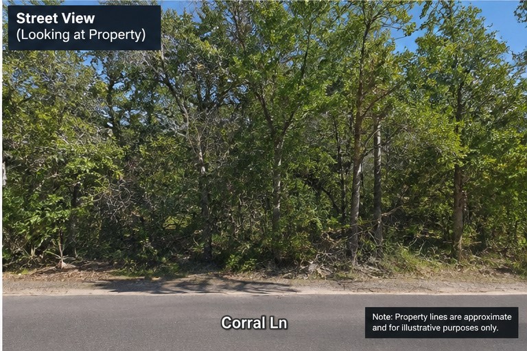 8435 Corral Lane Property Photo 4