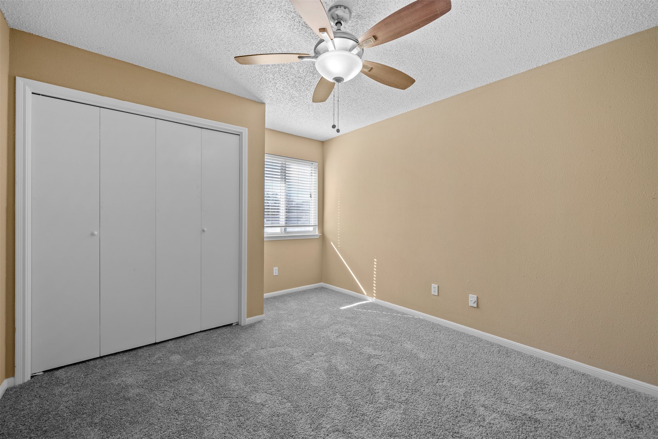 12438 Ashling Drive Property Photo 35