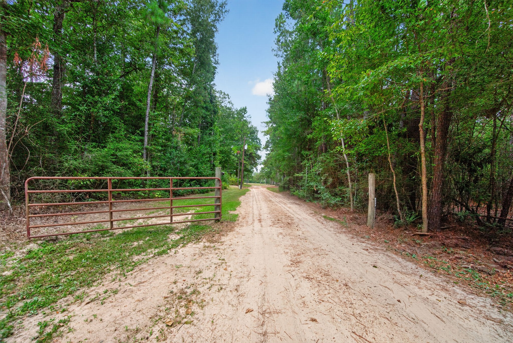 272 Tom Marsh Road Property Photo 25