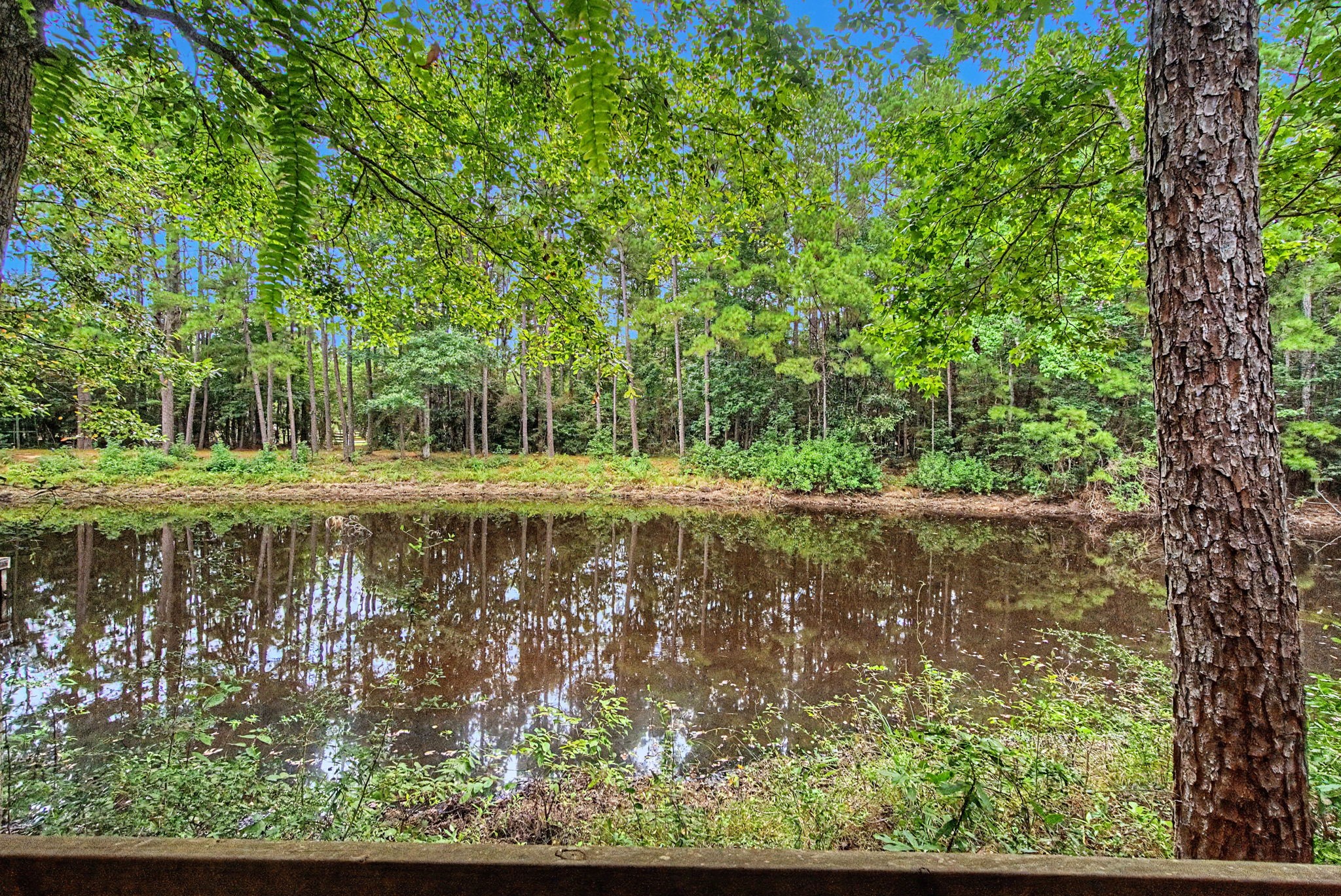 272 Tom Marsh Road Property Photo 38