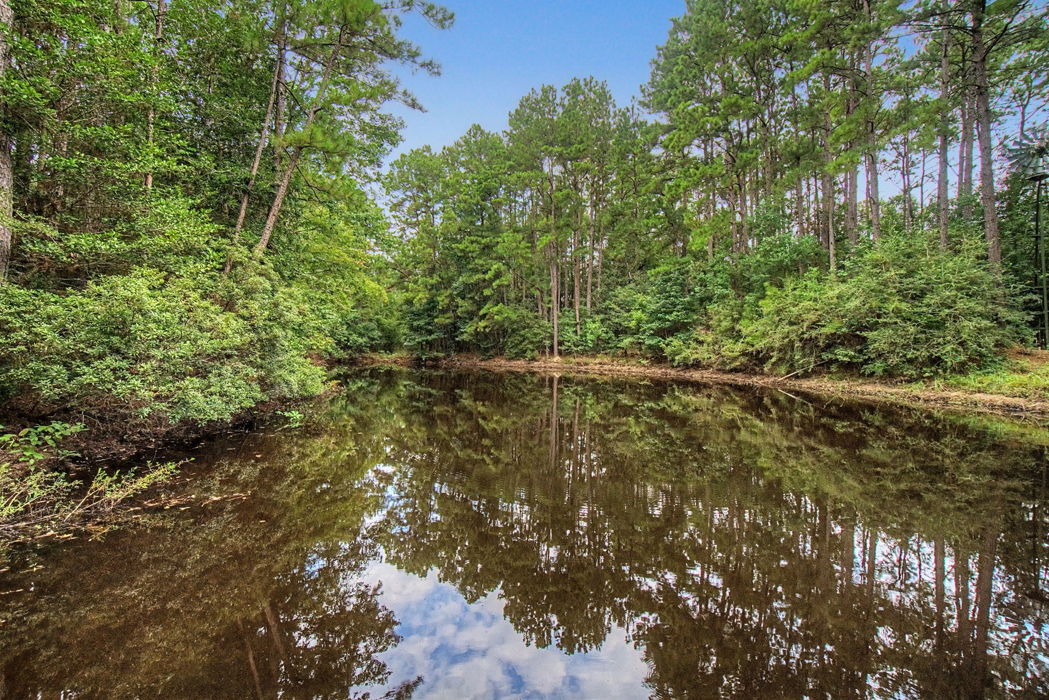 272 Tom Marsh Road Property Photo 39