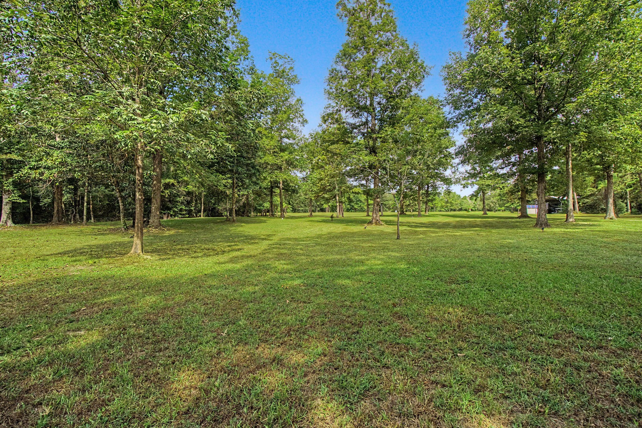 272 Tom Marsh Road Property Photo 40