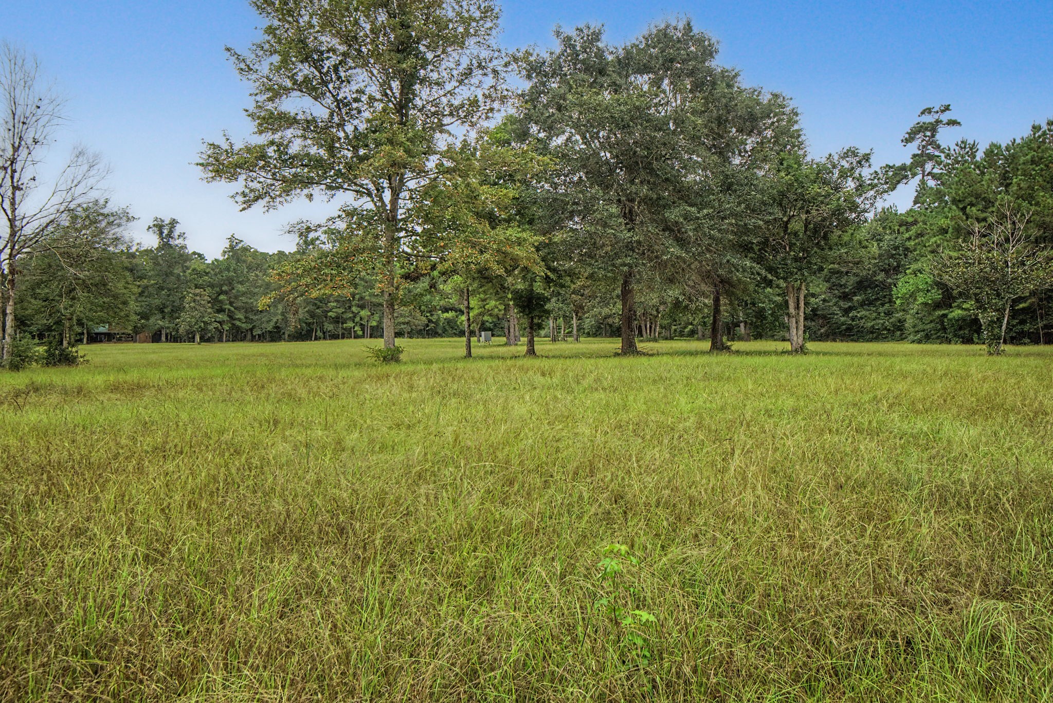 272 Tom Marsh Road Property Photo 43