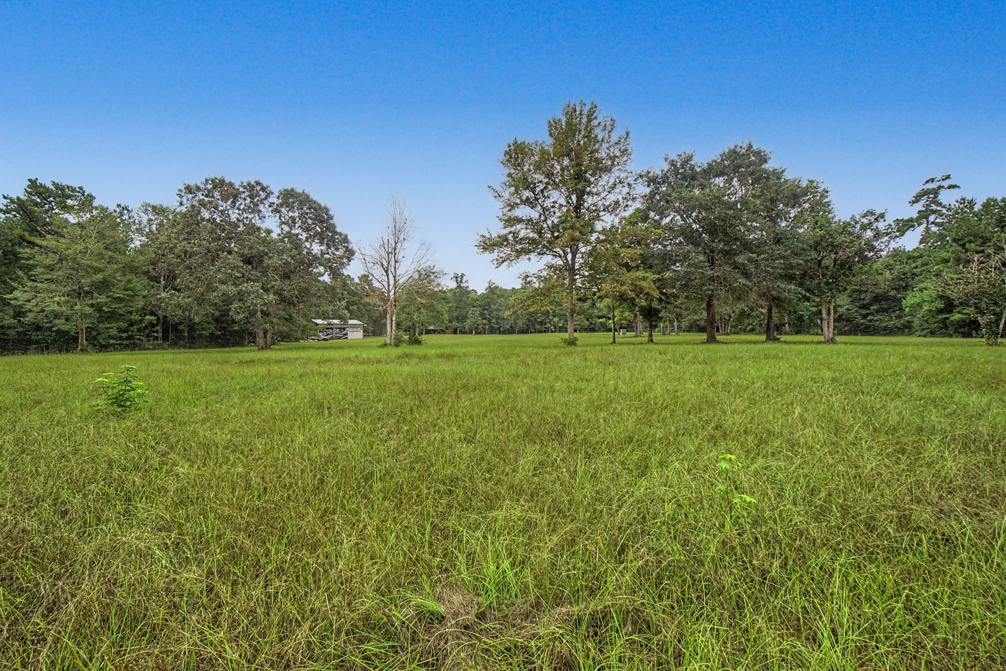 272 Tom Marsh Road Property Photo 44