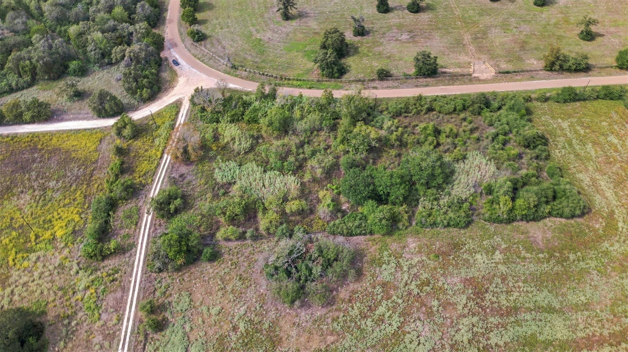 2.53 Acres County Road 119 Property Photo 11