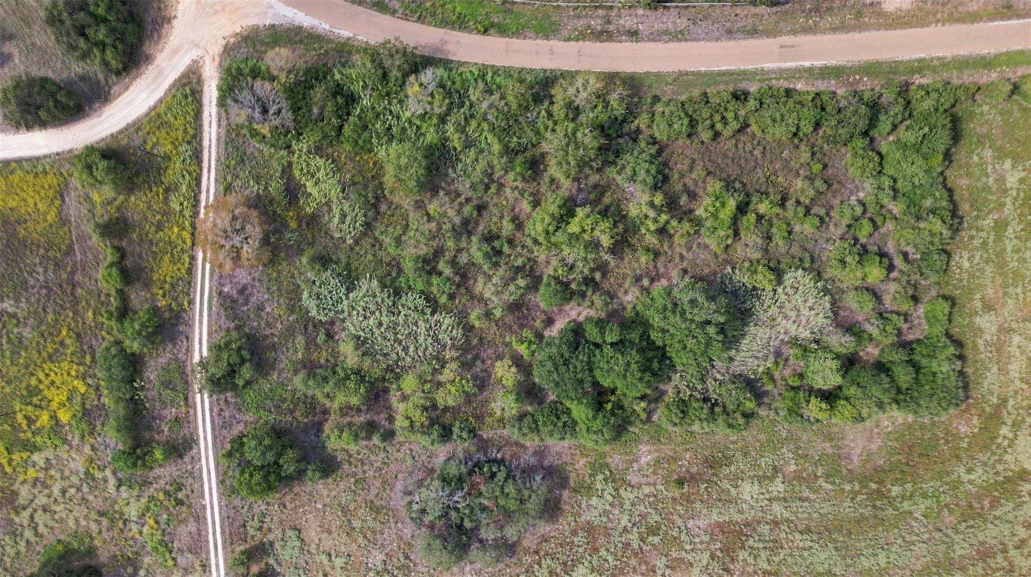 2.53 Acres County Road 119 Property Photo 12