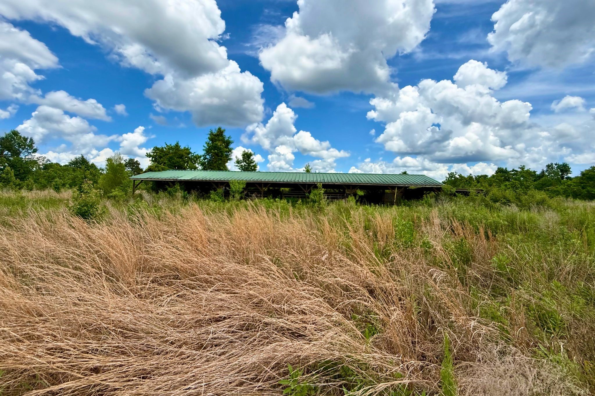824 County Road 2268 Road Property Photo 12