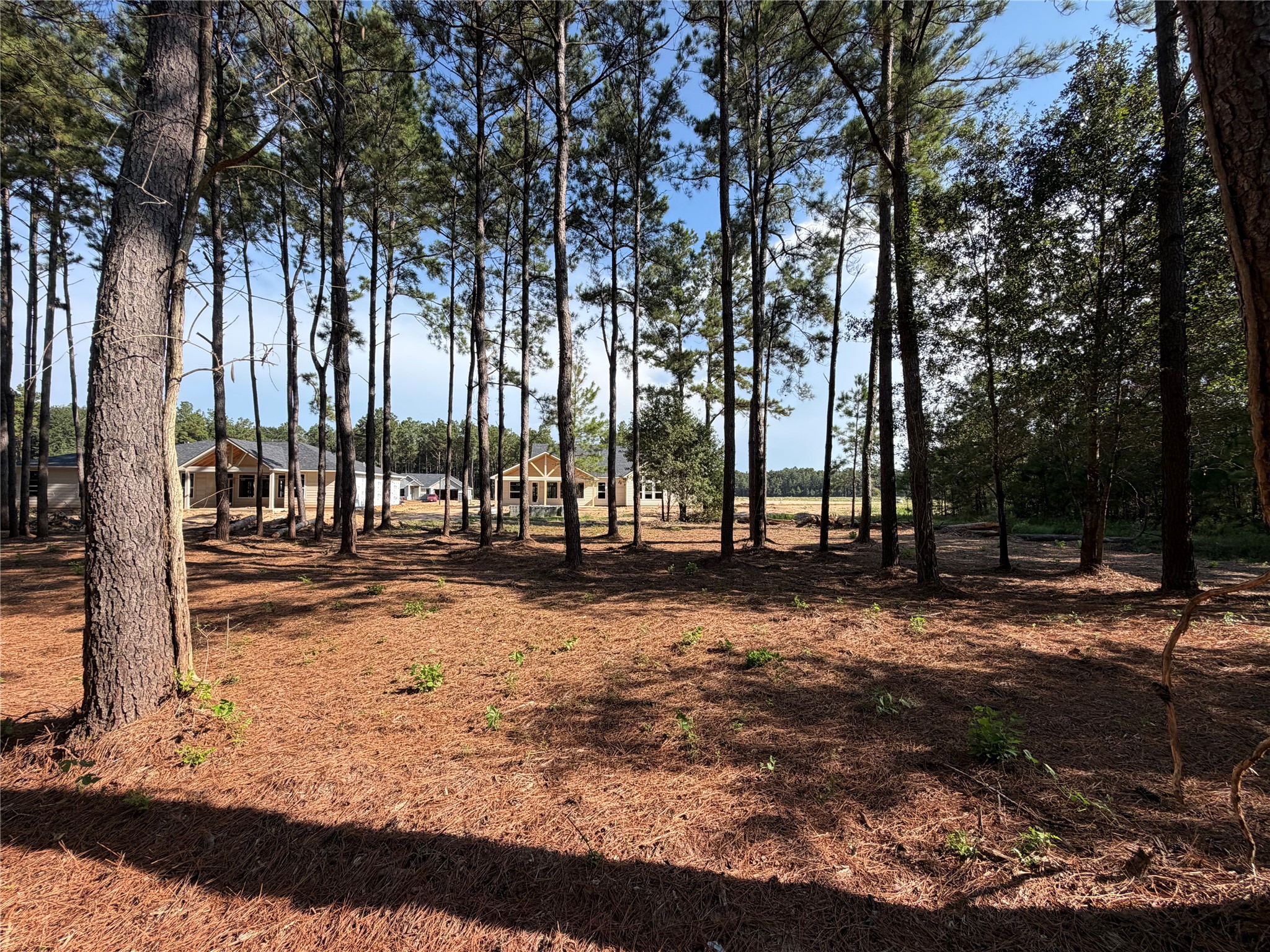 17710 Flagstone Way Property Photo 4
