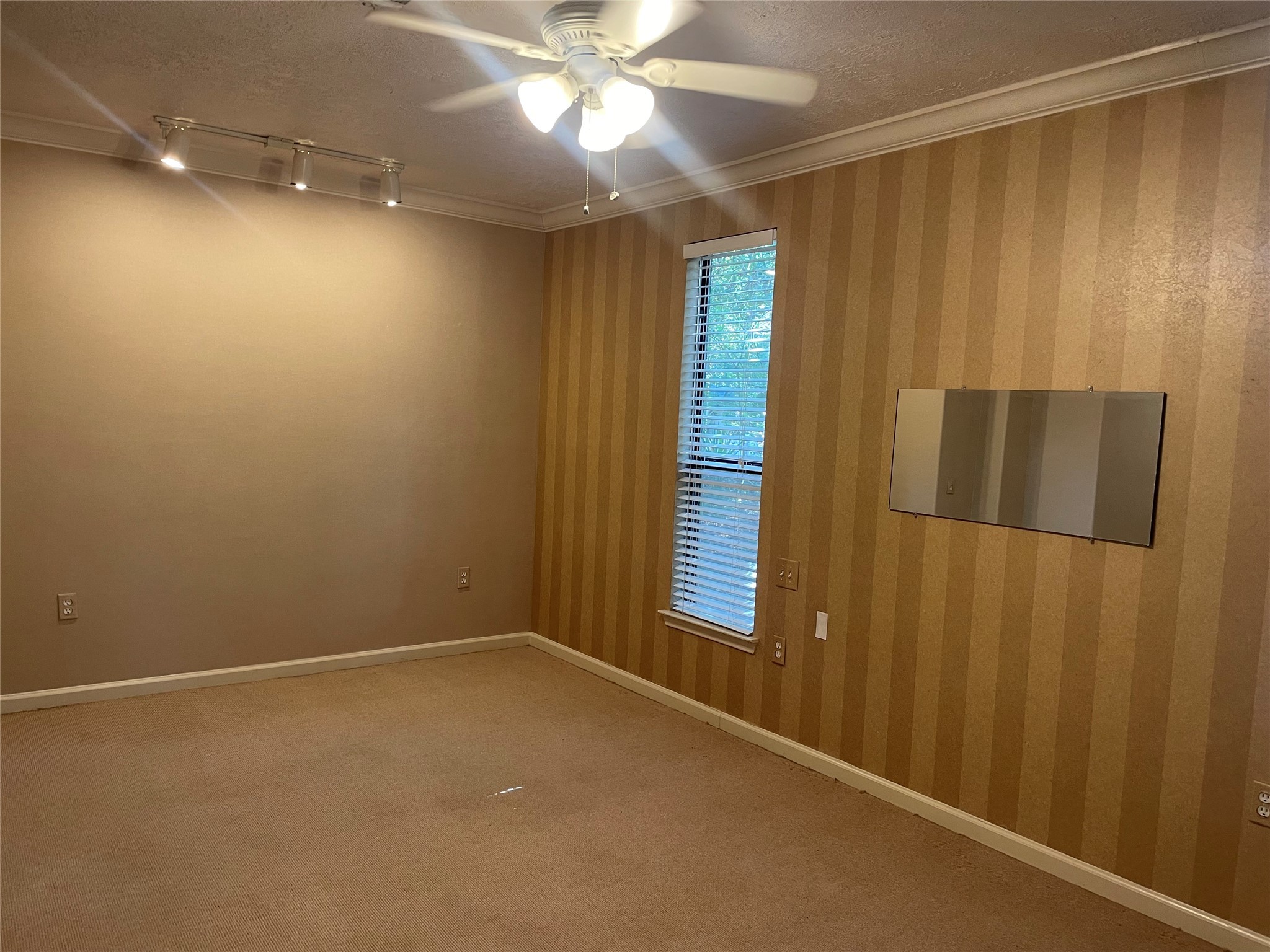 302 Somerset Road Property Photo 10