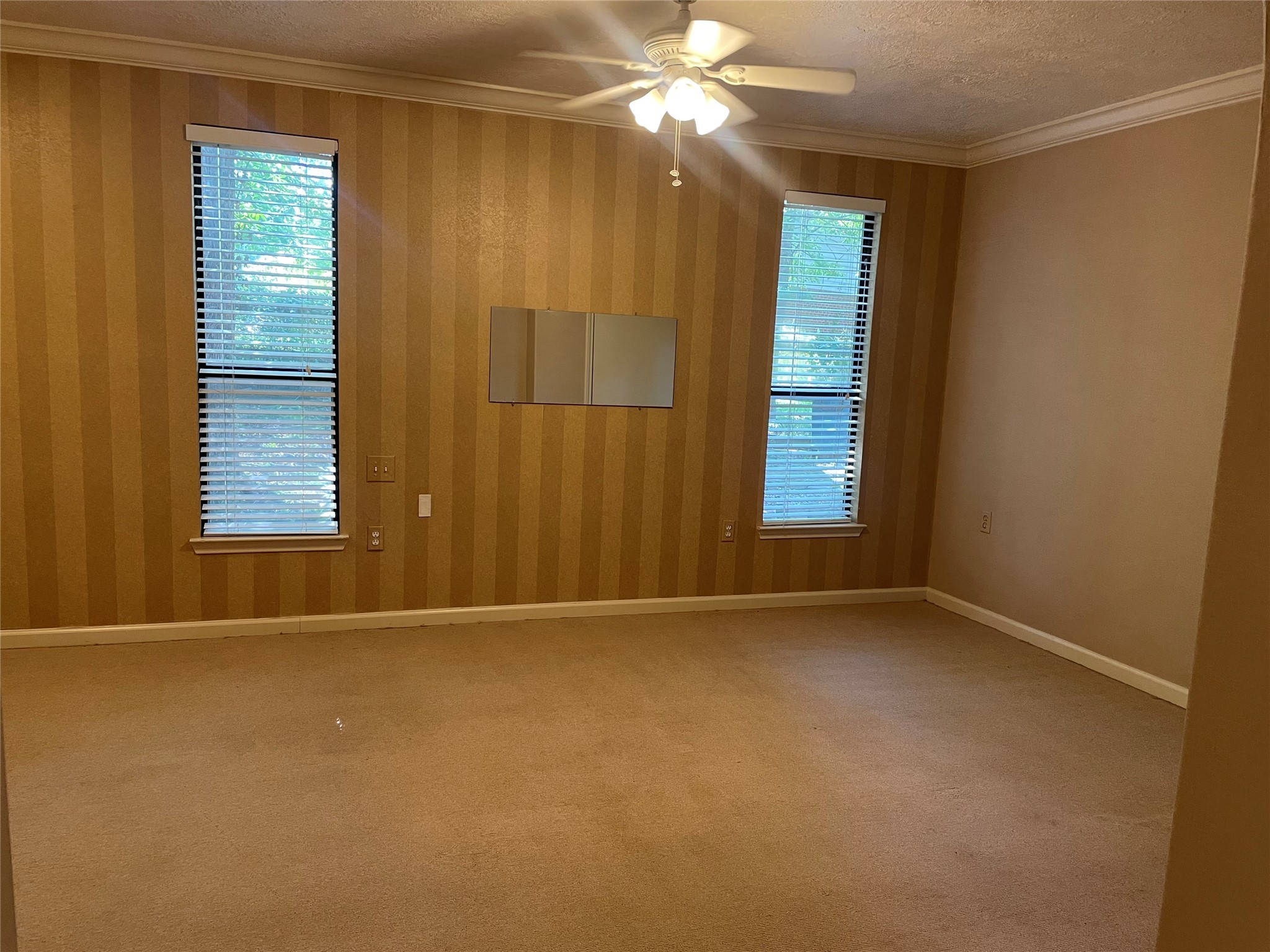 302 Somerset Road Property Photo 11