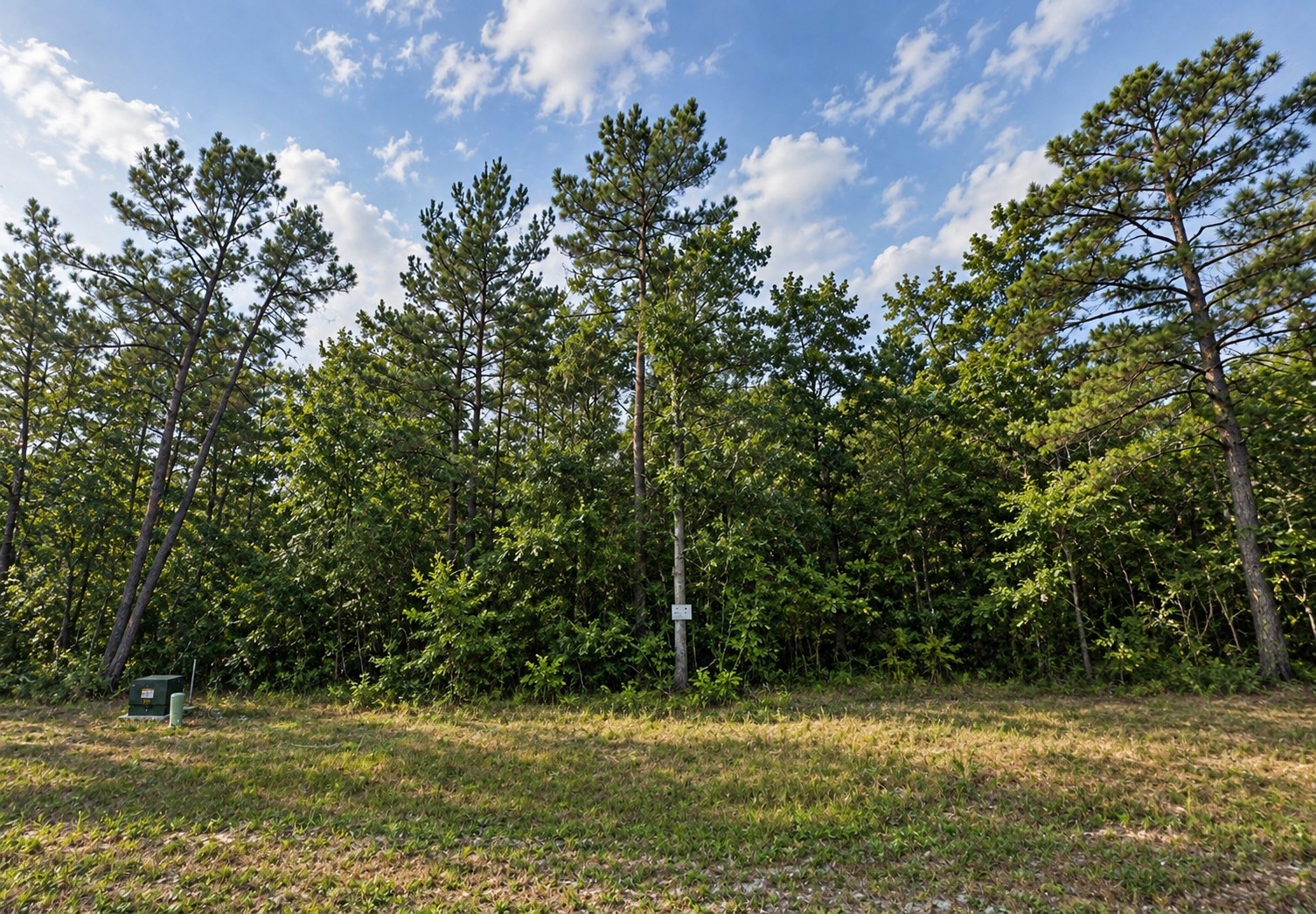 15495 Red Hawk Road Property Photo 6
