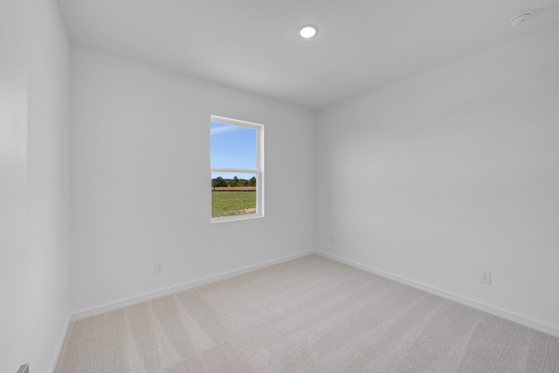 503 Barnier Street Property Photo 16