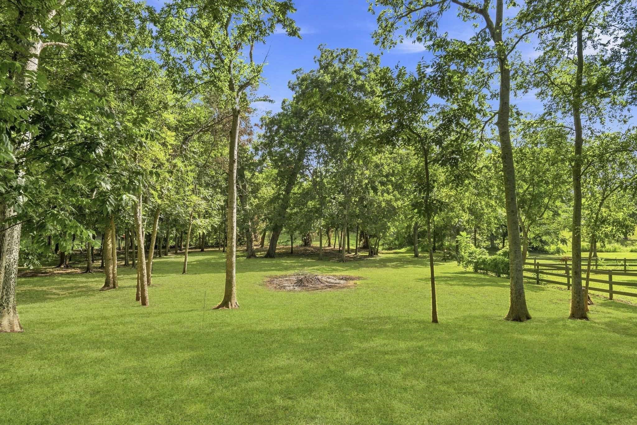 5202 Bessies Creek Trace Property Photo 44