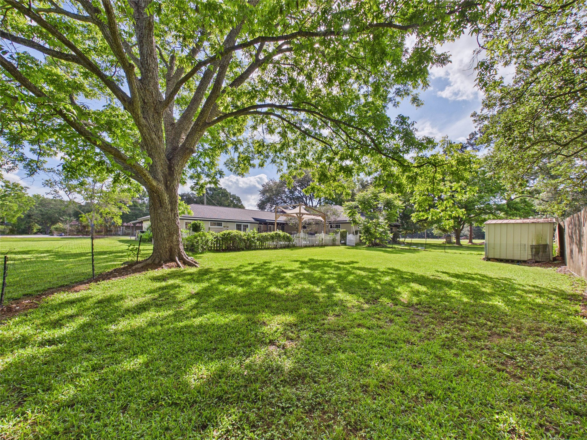 3037 County Road 536 Property Photo 6