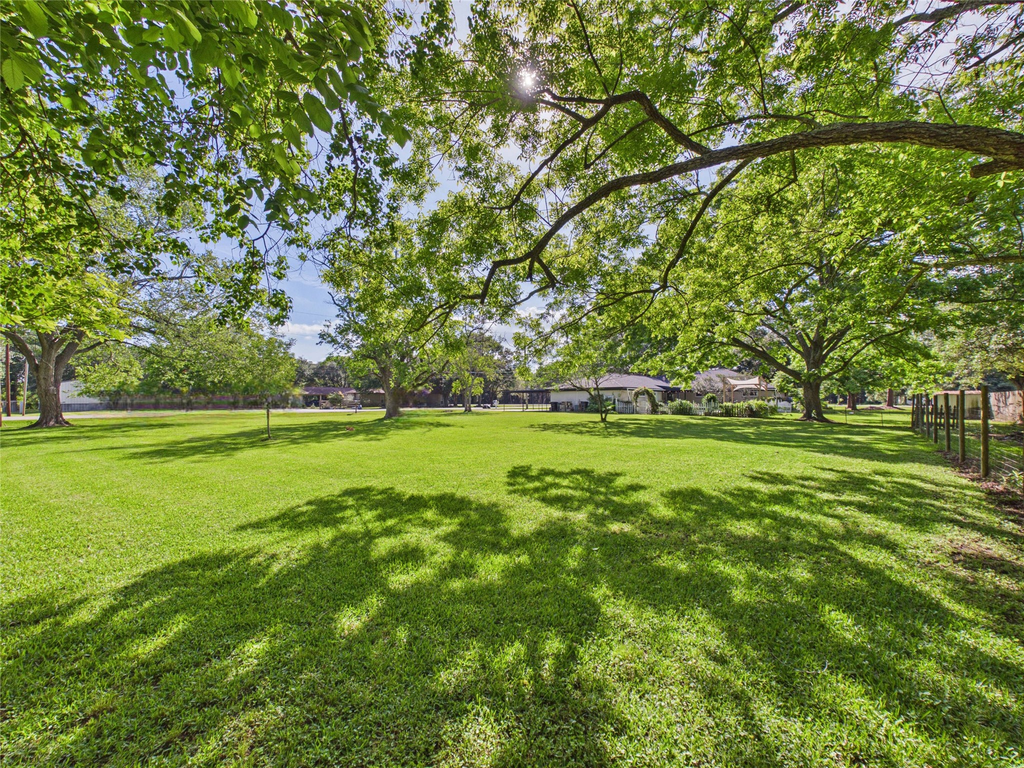 3037 County Road 536 Property Photo 49