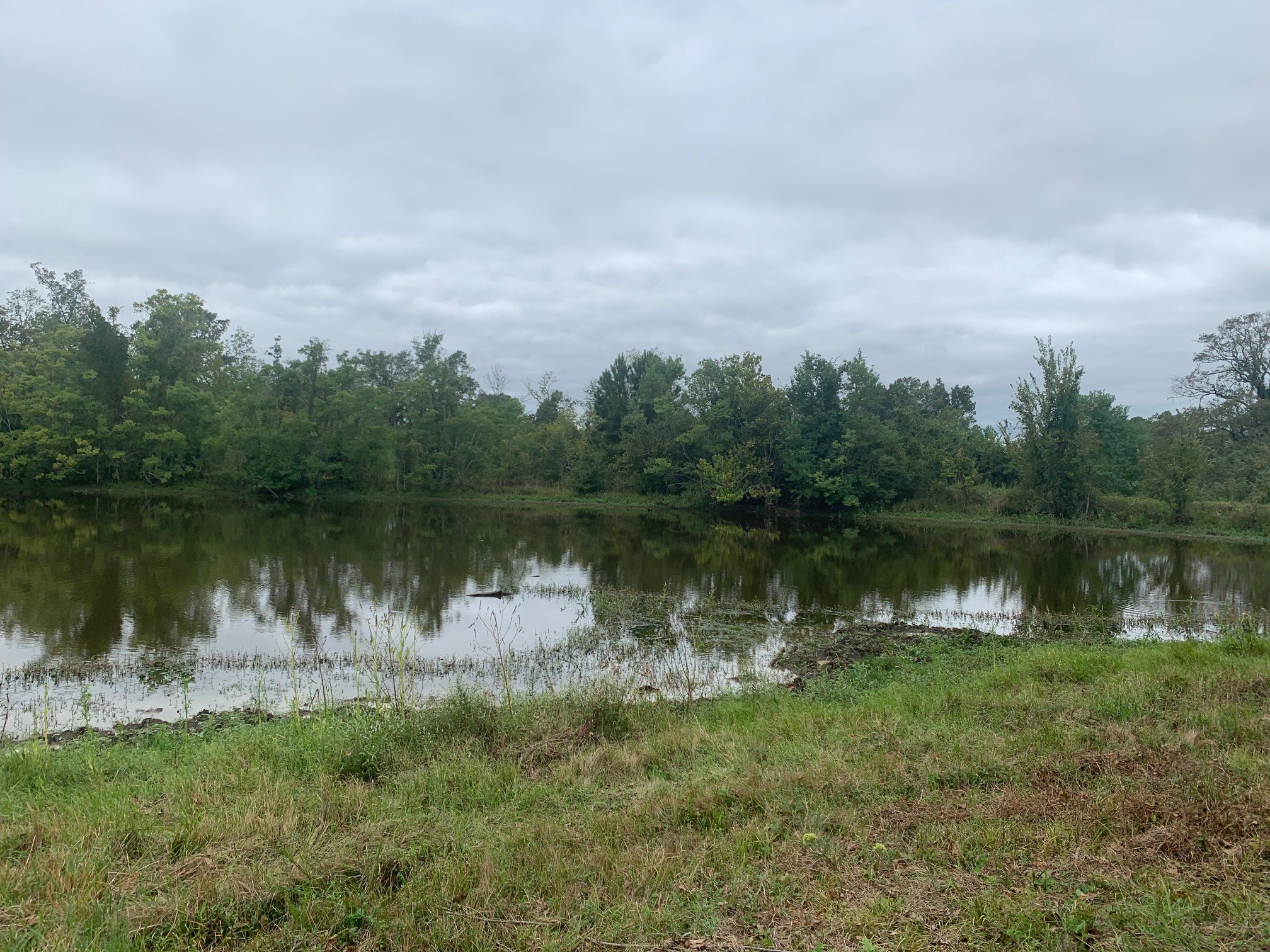25572 Johnson Road Property Photo 1