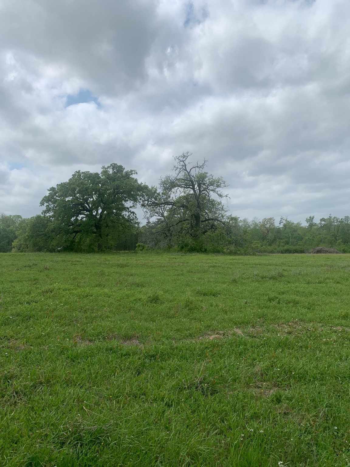 25572 Johnson Road Property Photo 3