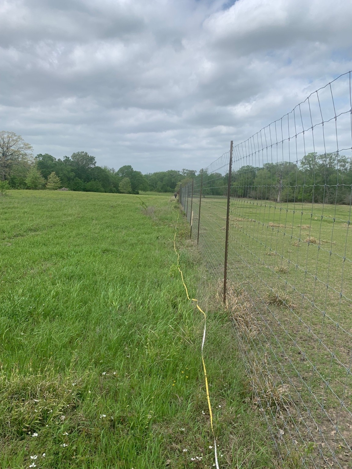 25572 Johnson Road Property Photo 4