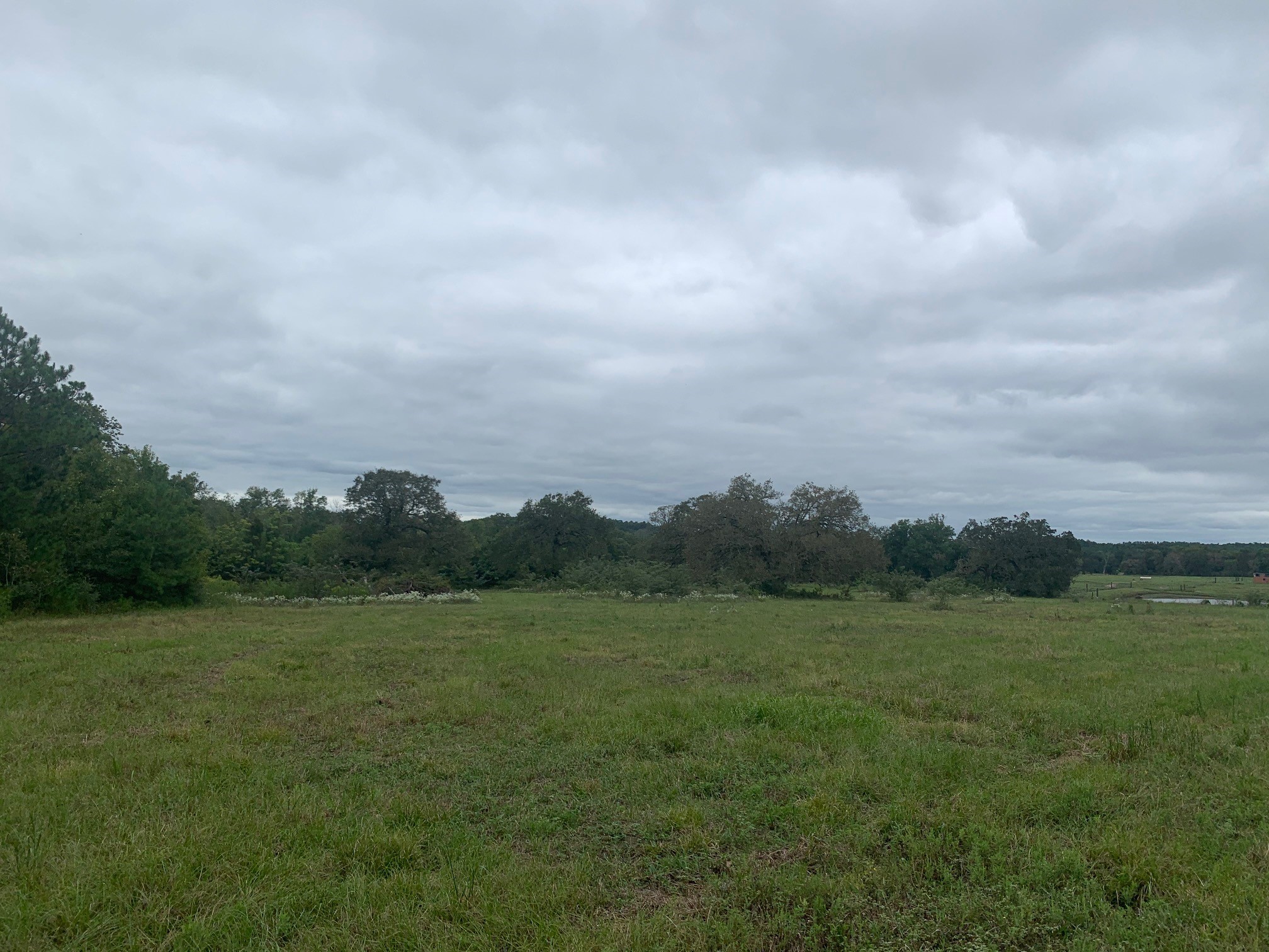 25572 Johnson Road Property Photo 5