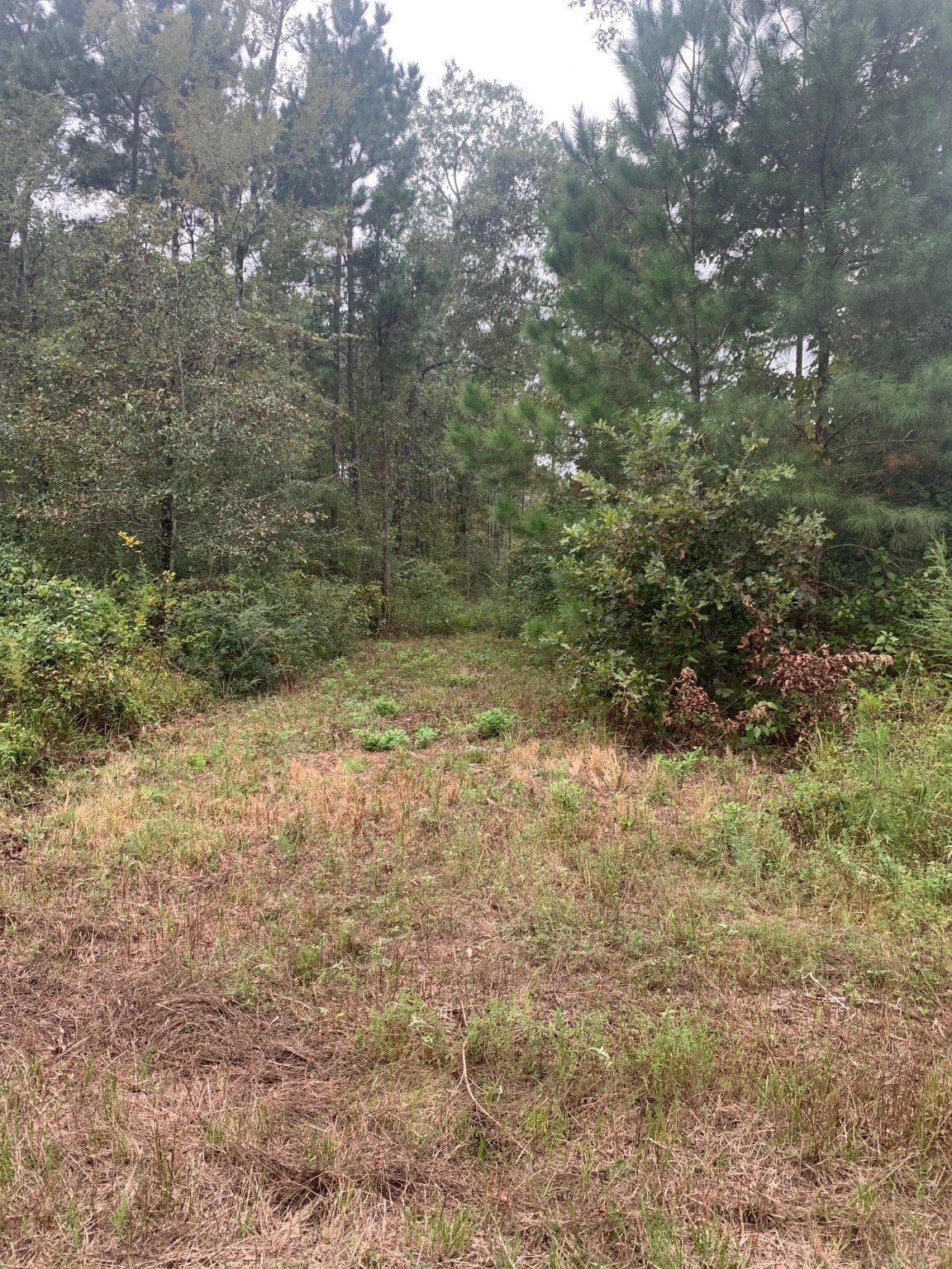 25572 Johnson Road Property Photo 6