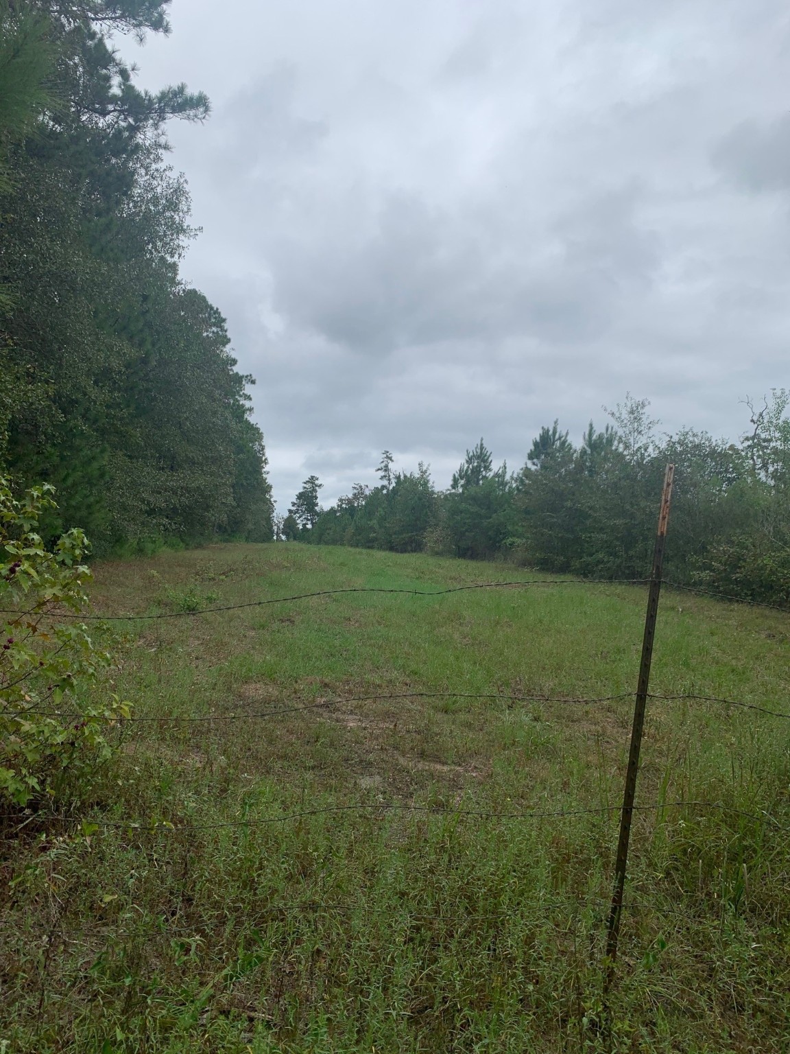25572 Johnson Road Property Photo 7