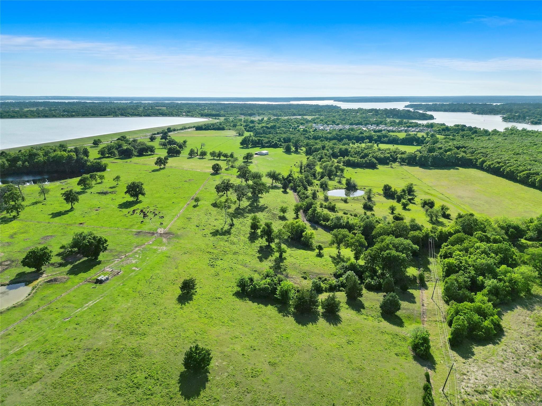 11250 Longstreet Road Property Photo 6