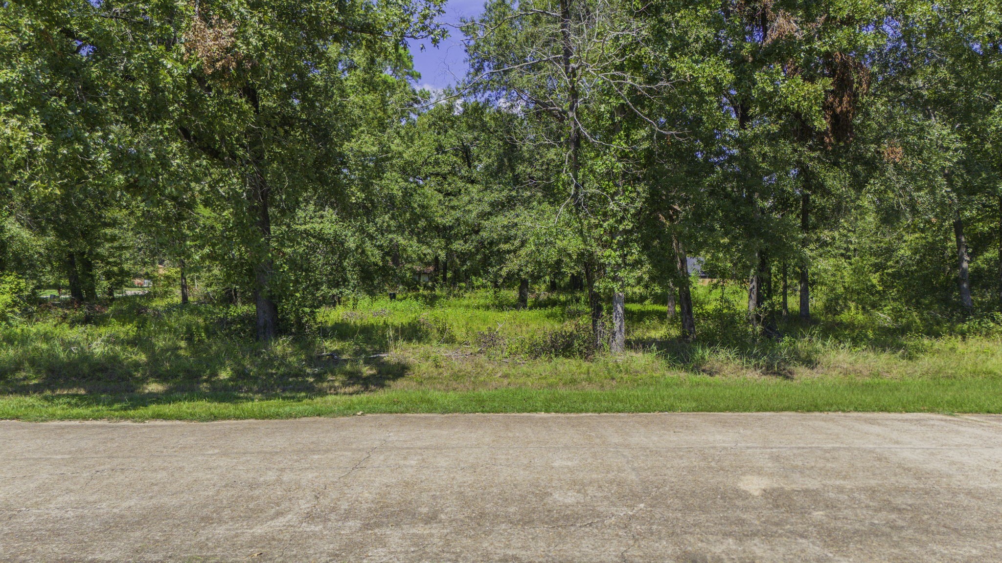 00 Deep Woods Lane Property Photo 11