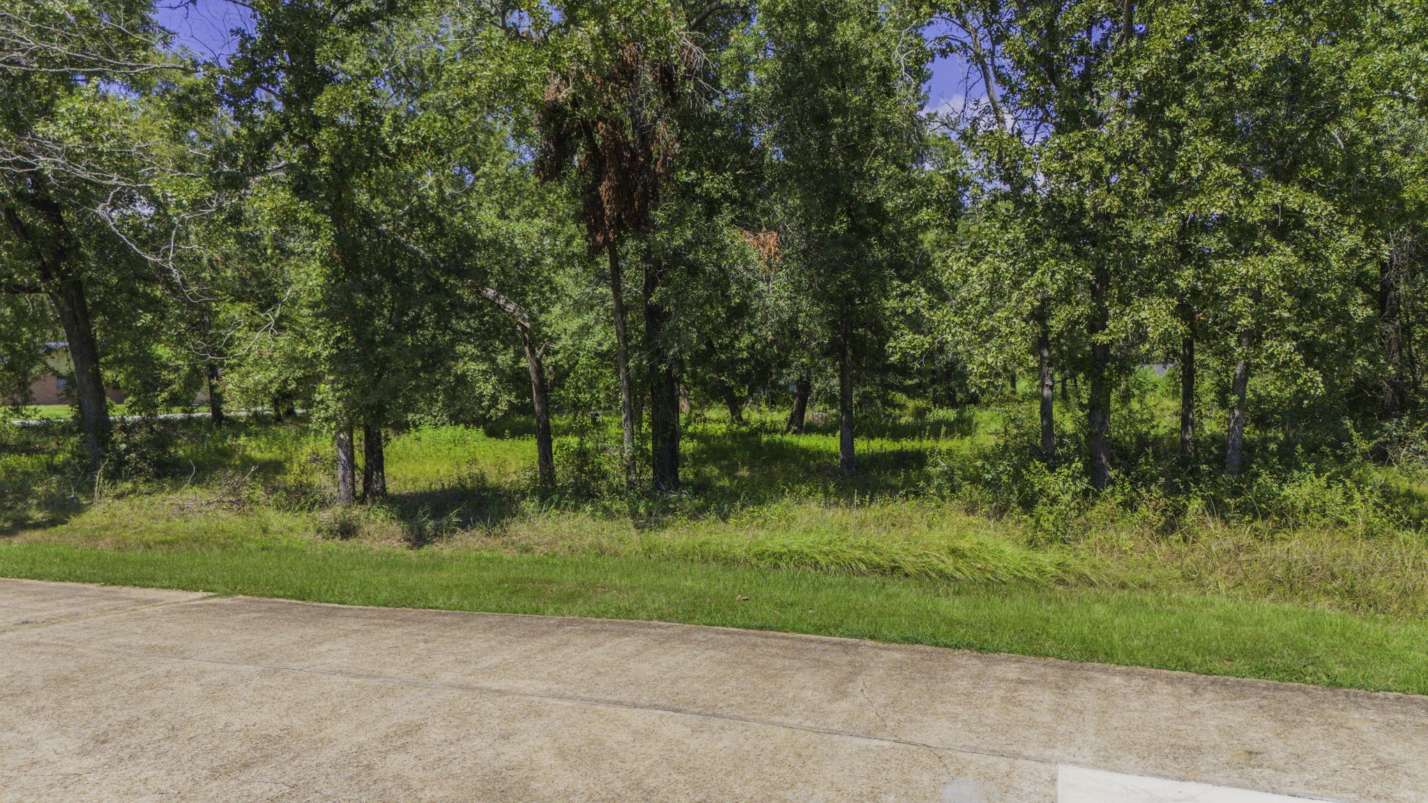00 Deep Woods Lane Property Photo 12