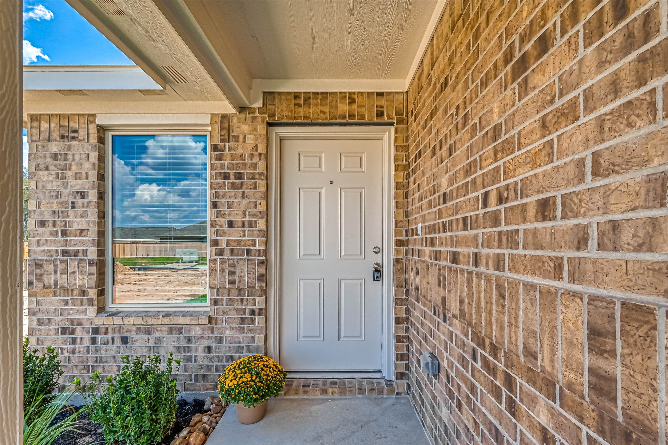 22310 Mountain Pine Drive Property Photo 3