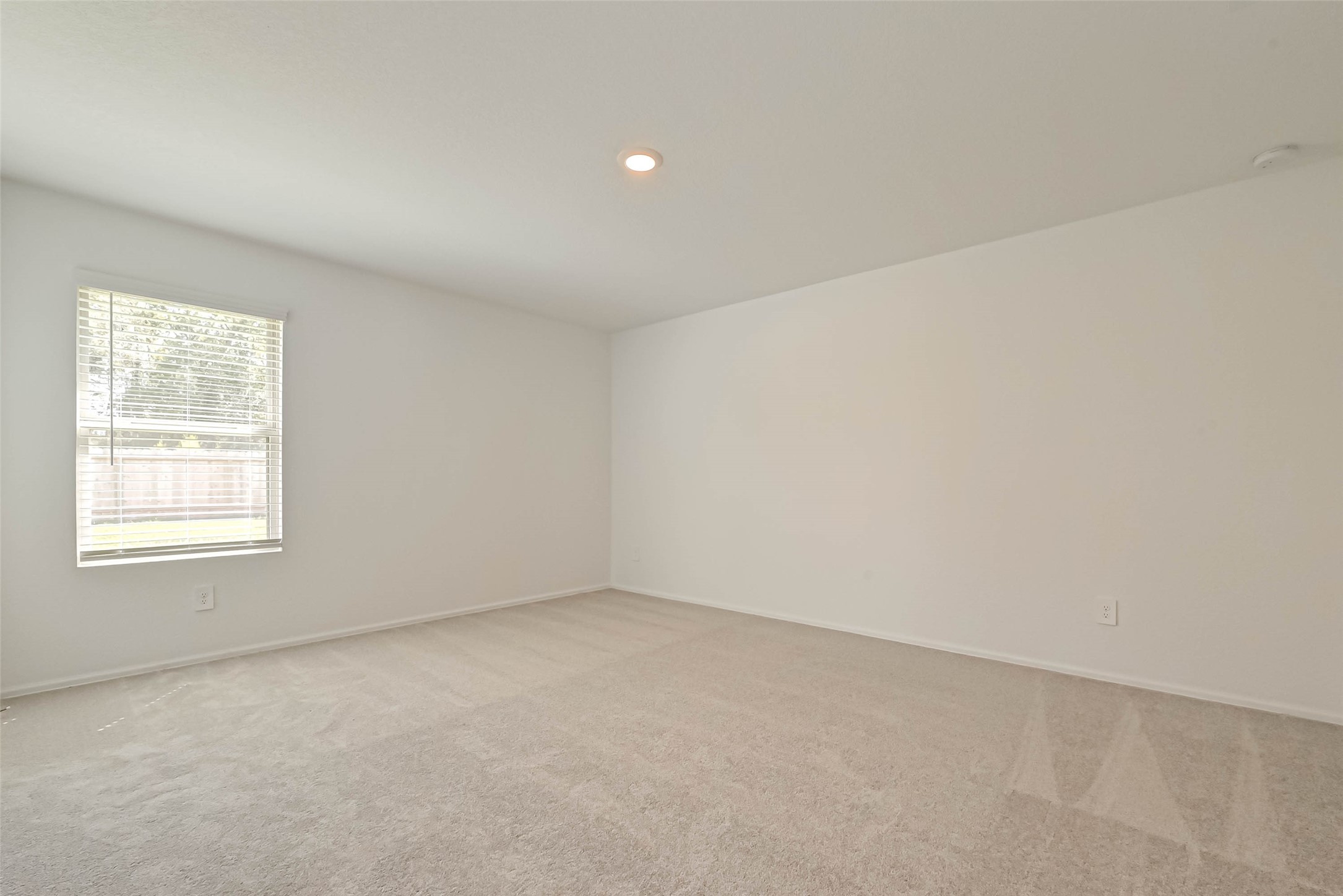 22310 Mountain Pine Drive Property Photo 10