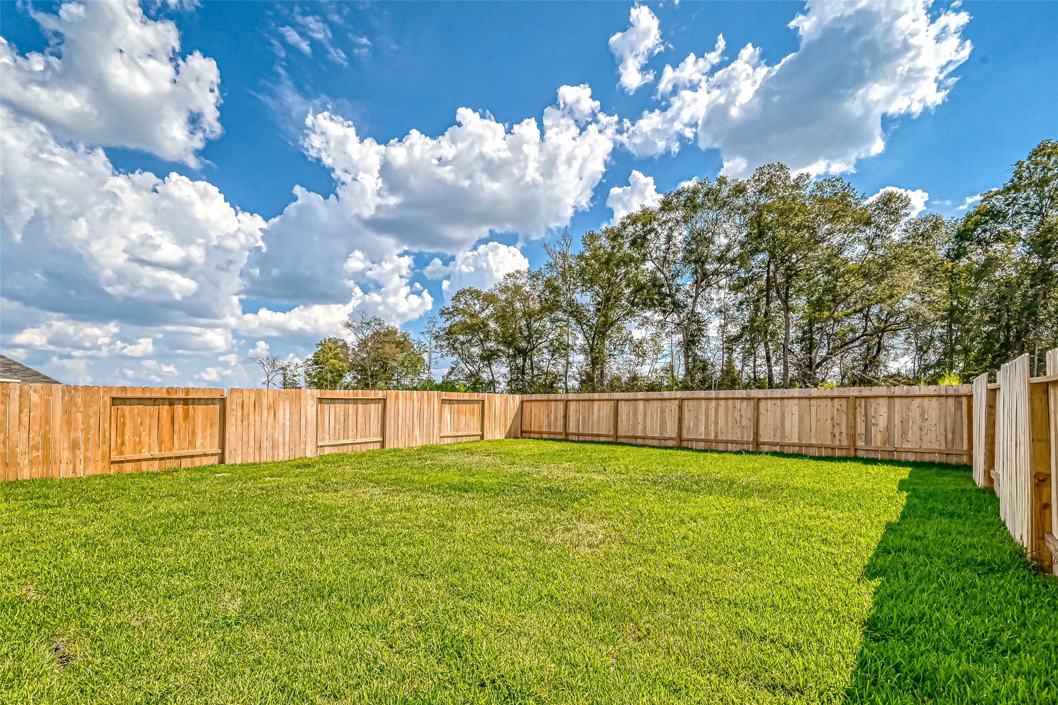 22310 Mountain Pine Drive Property Photo 22