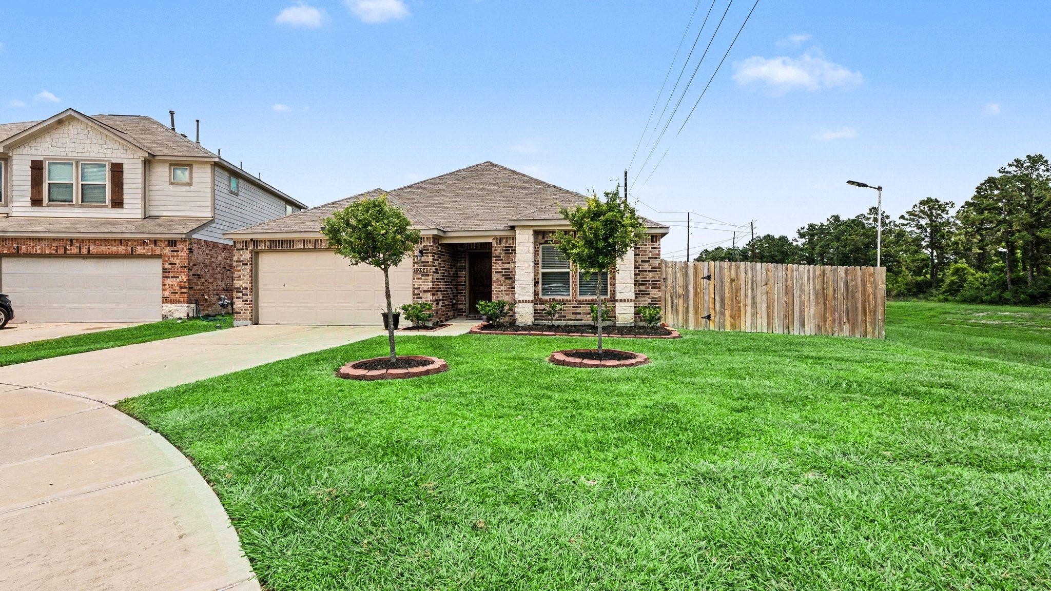 12547 Starry Summer Lane Property Photo 3